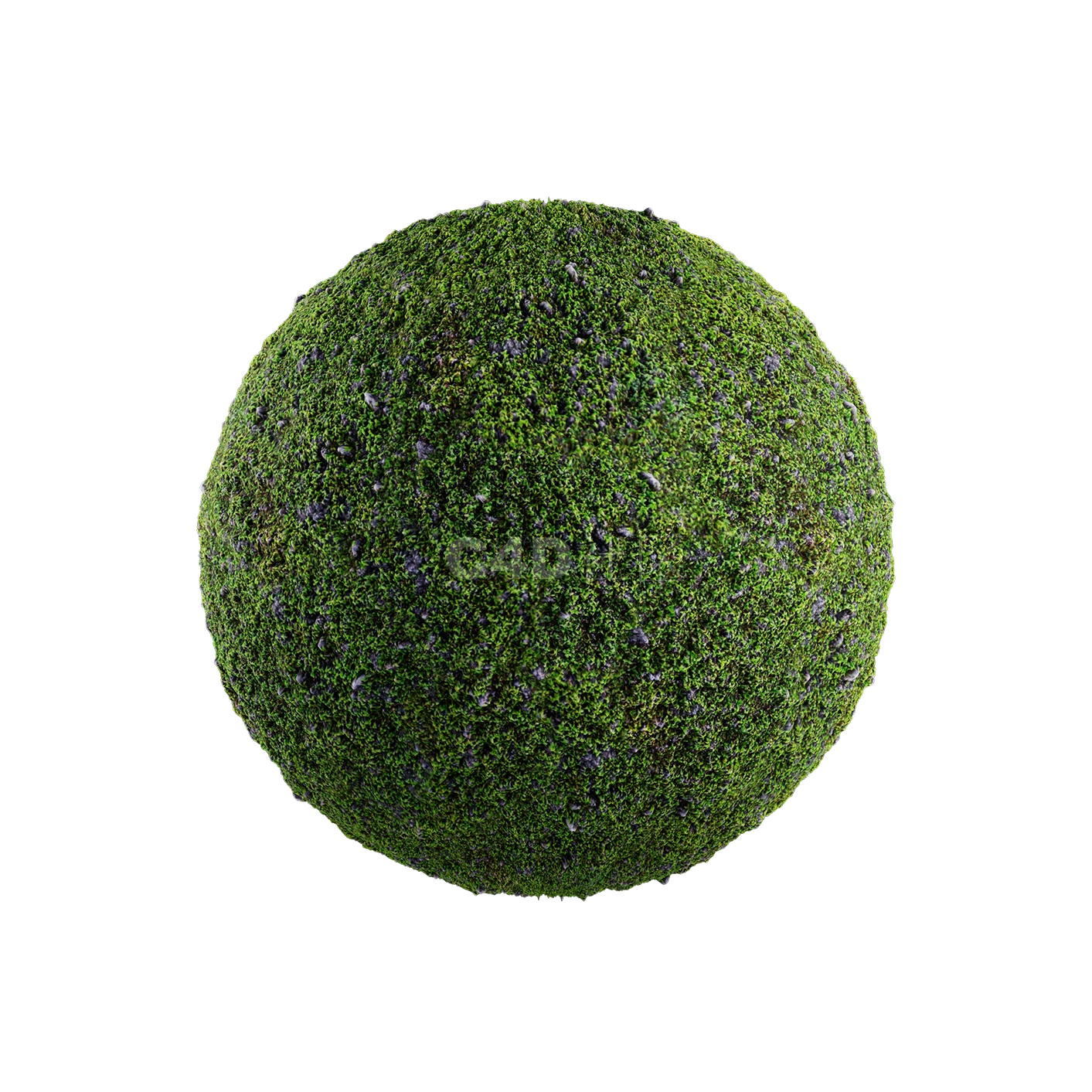 草地贴图250508007