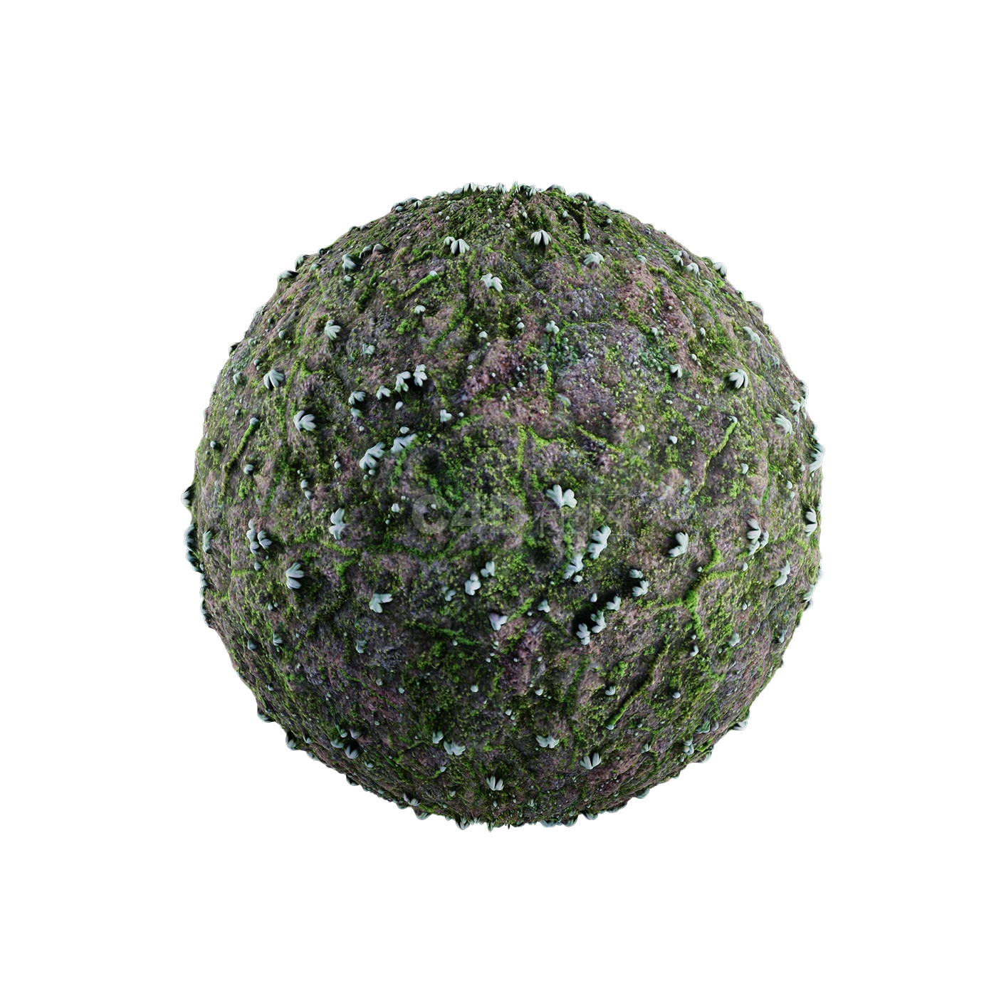 草地贴图2505080013