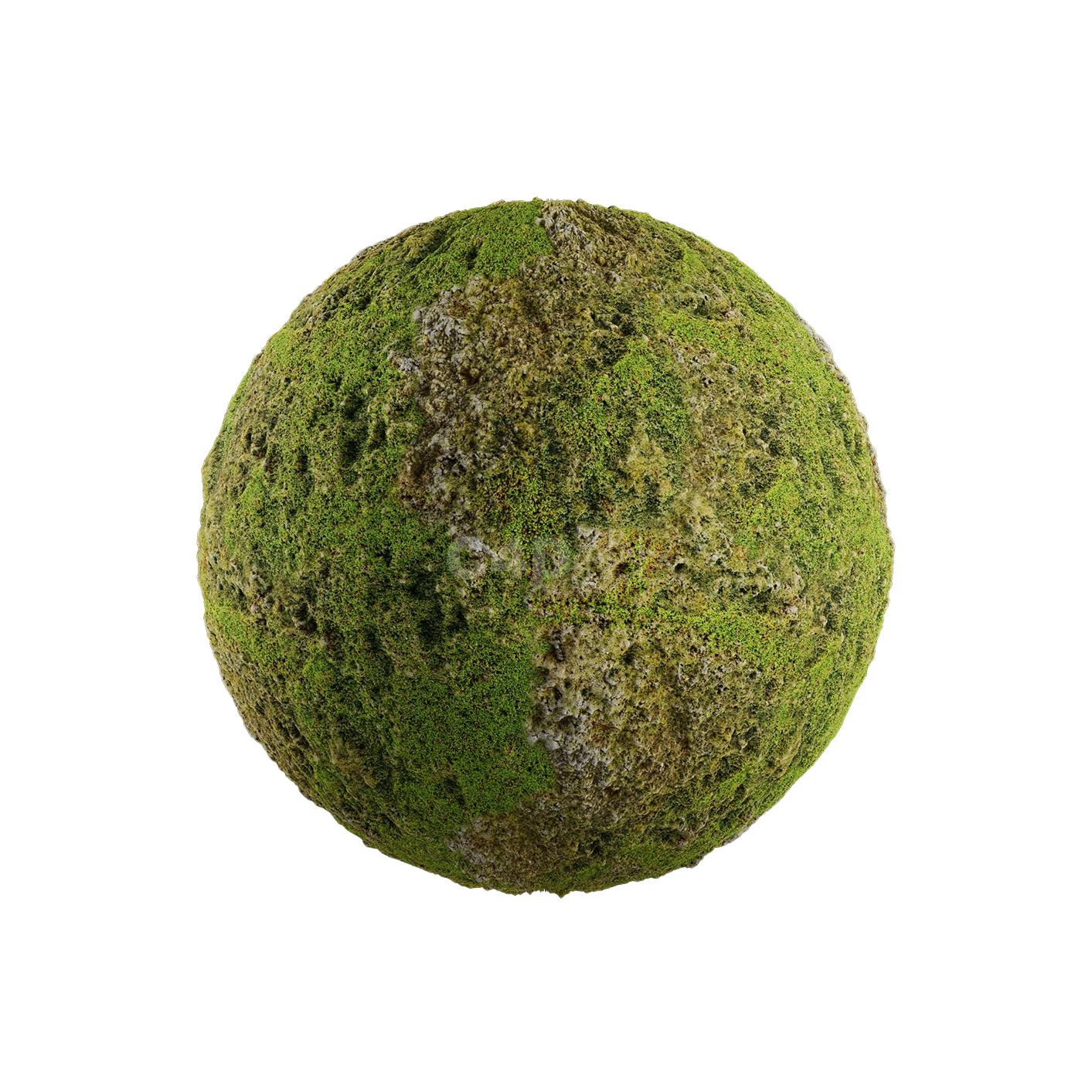 草地贴图2505080027