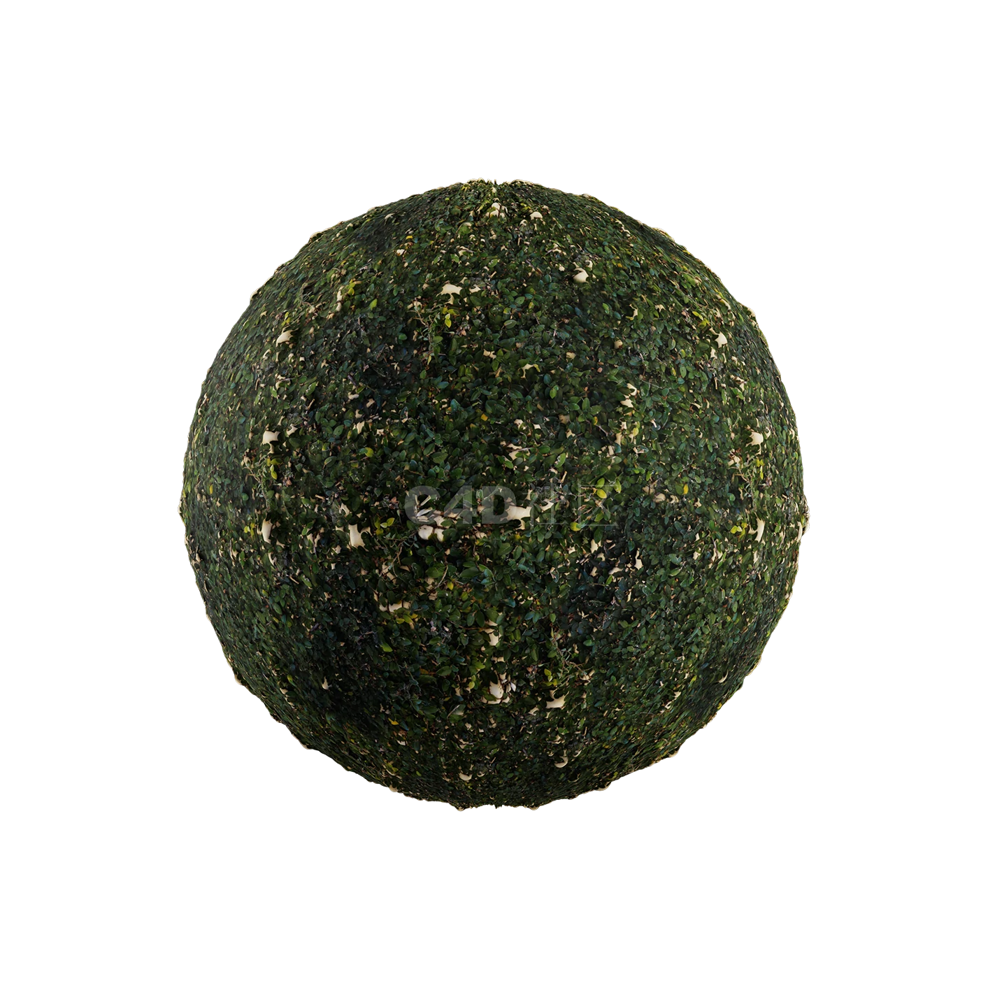 草地贴图2505080017