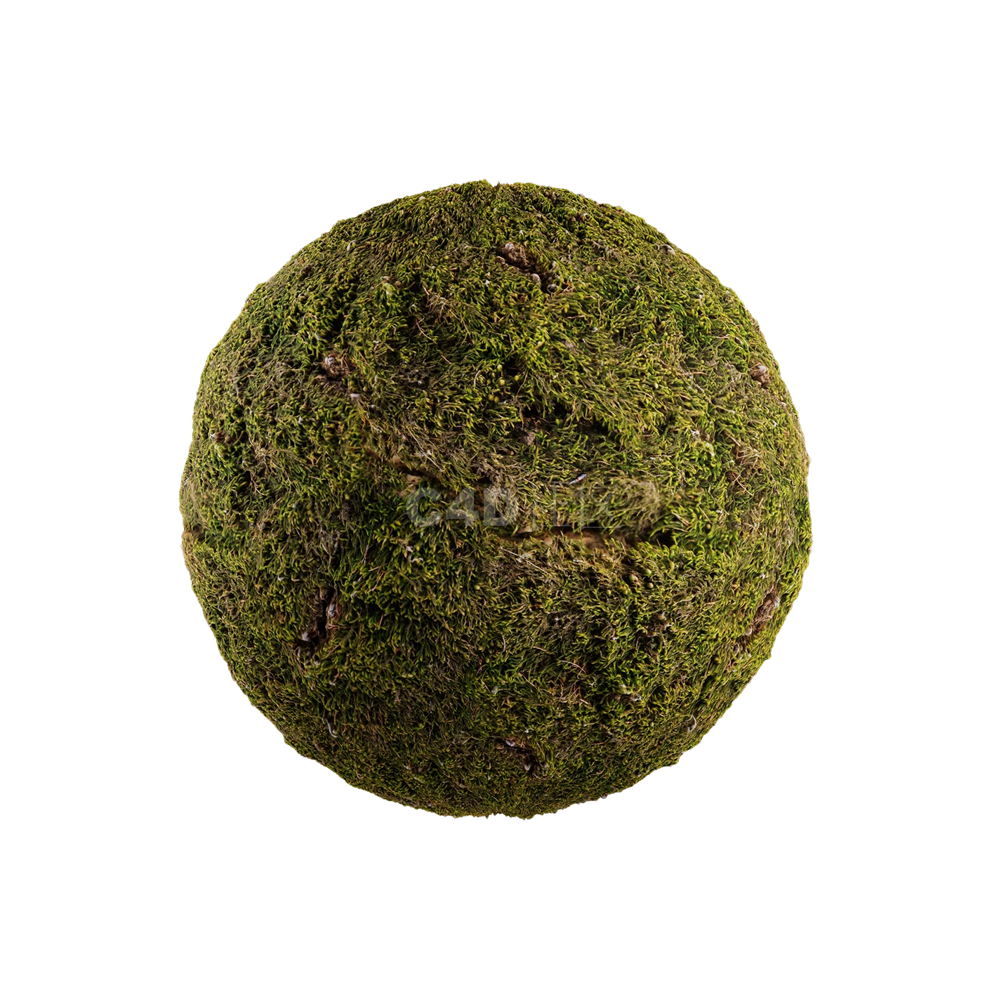 草地贴图250508002