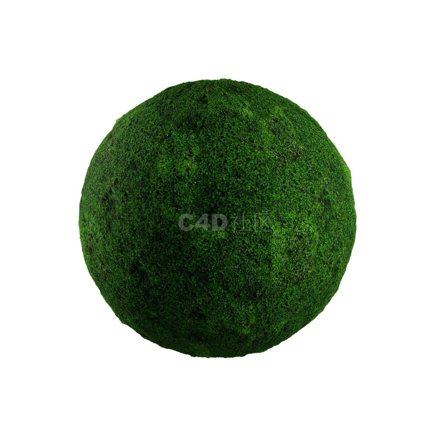 草地贴图2505080029