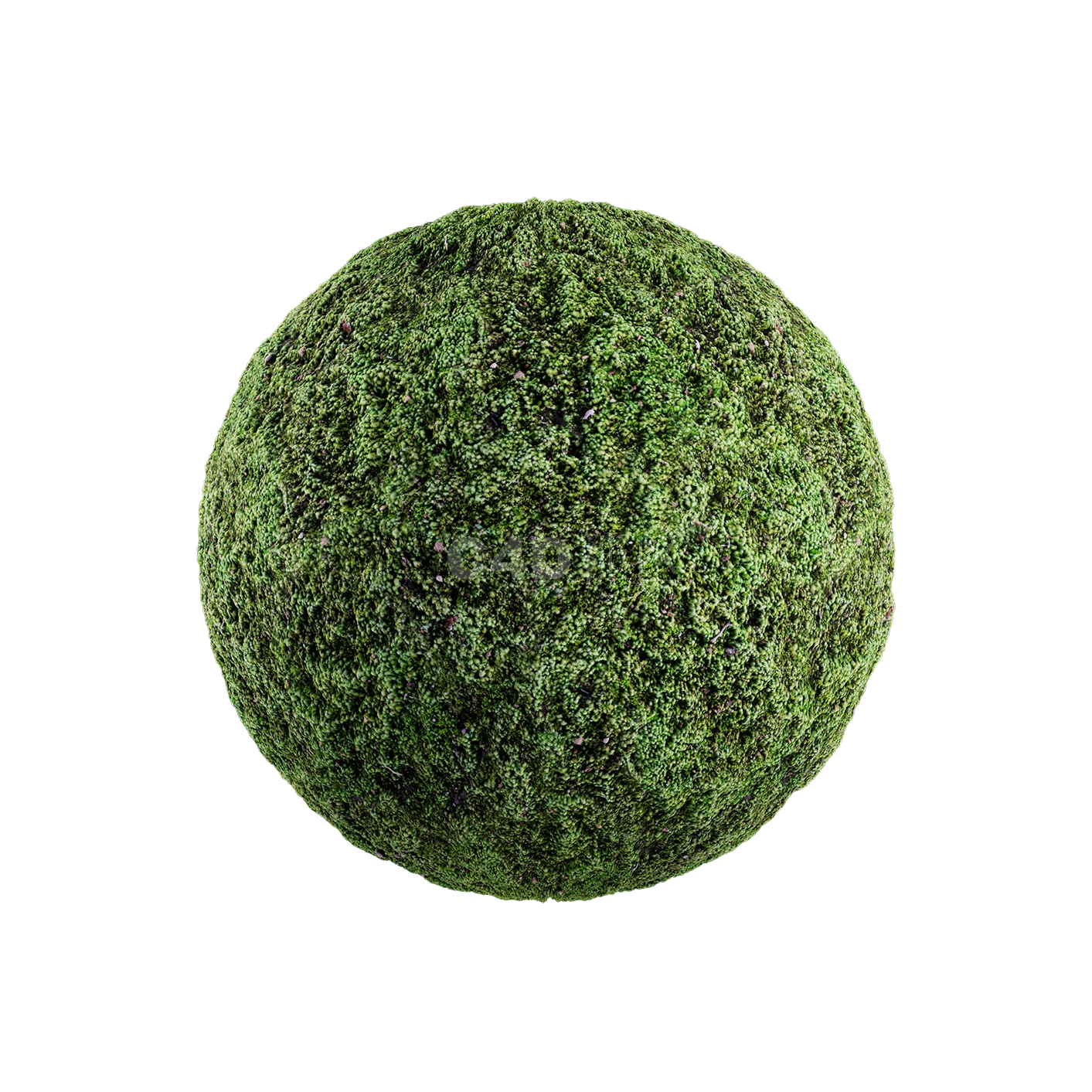 草地贴图2505080011