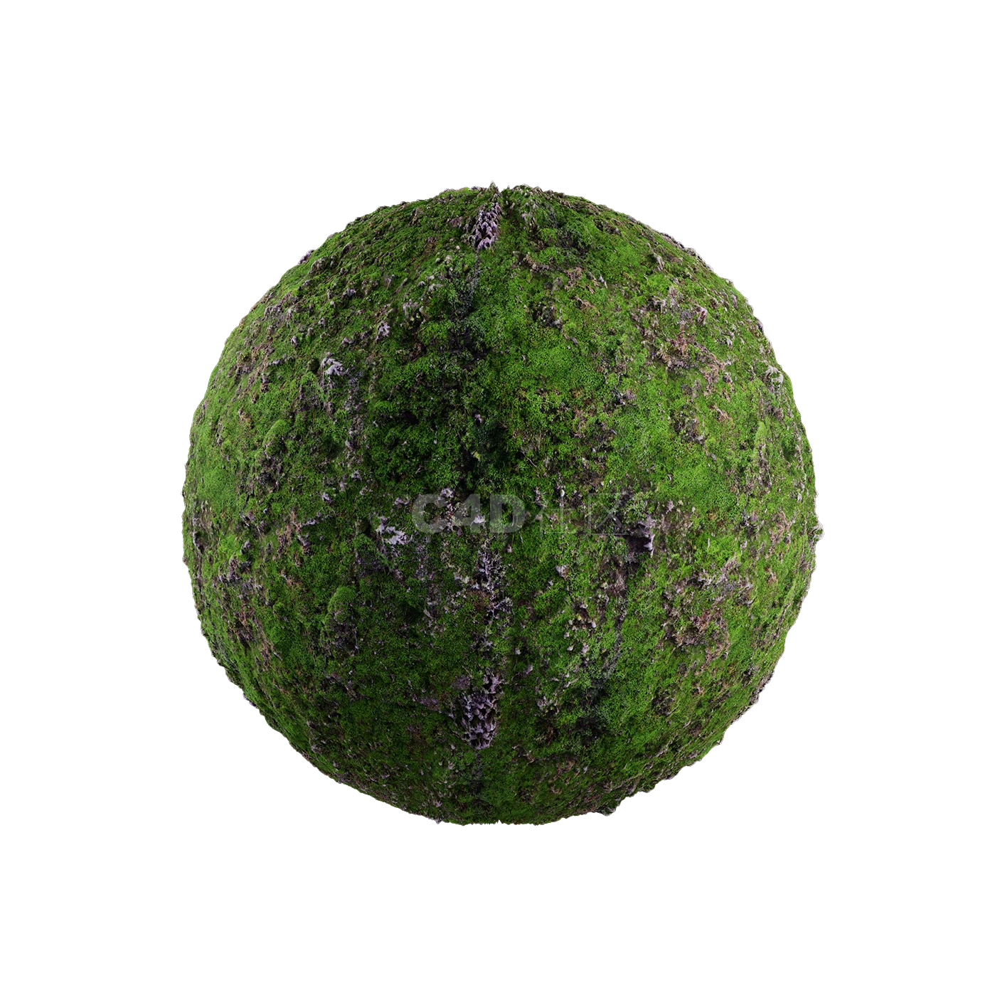 草地贴图2505080030