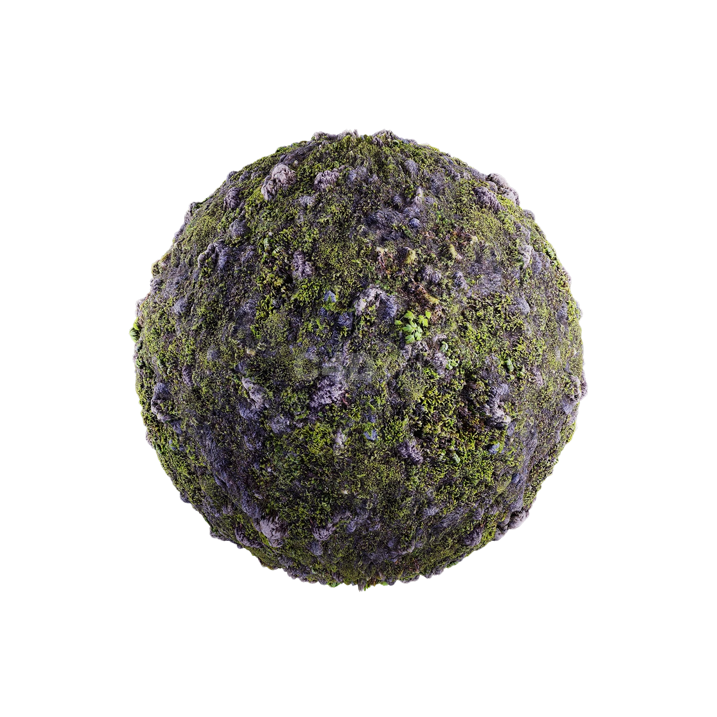 草地贴图250508003