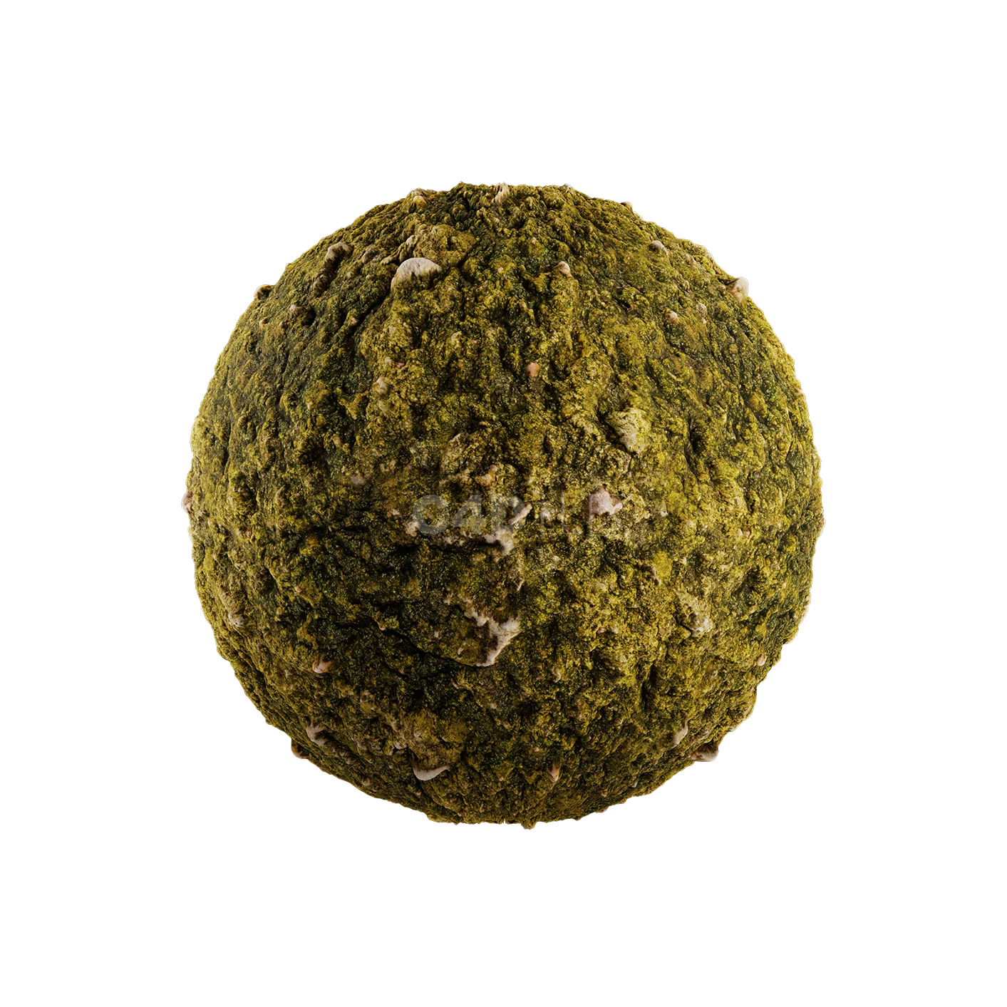 草地贴图250508008