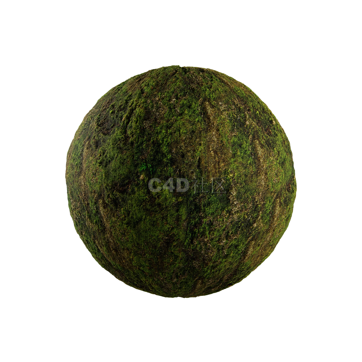 草地贴图2505080026