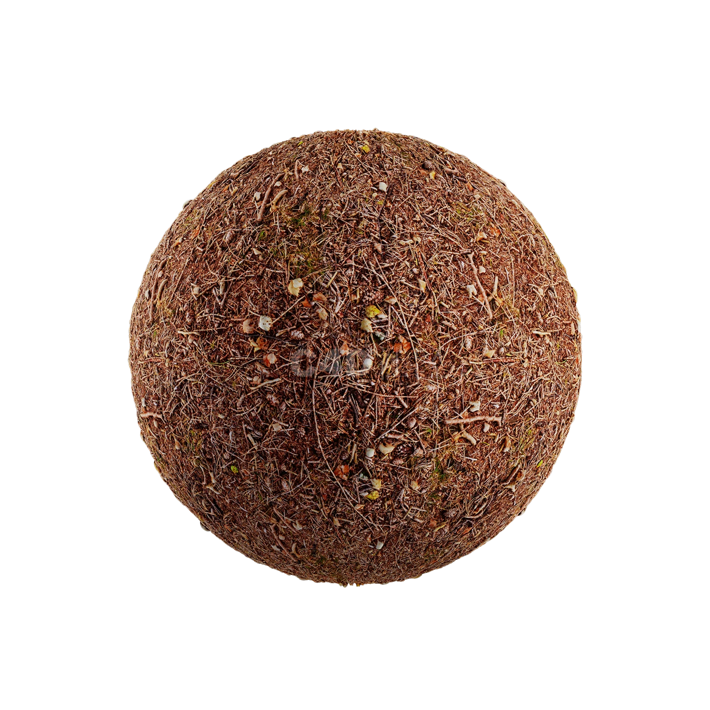 树枝草根地面贴图2505080014