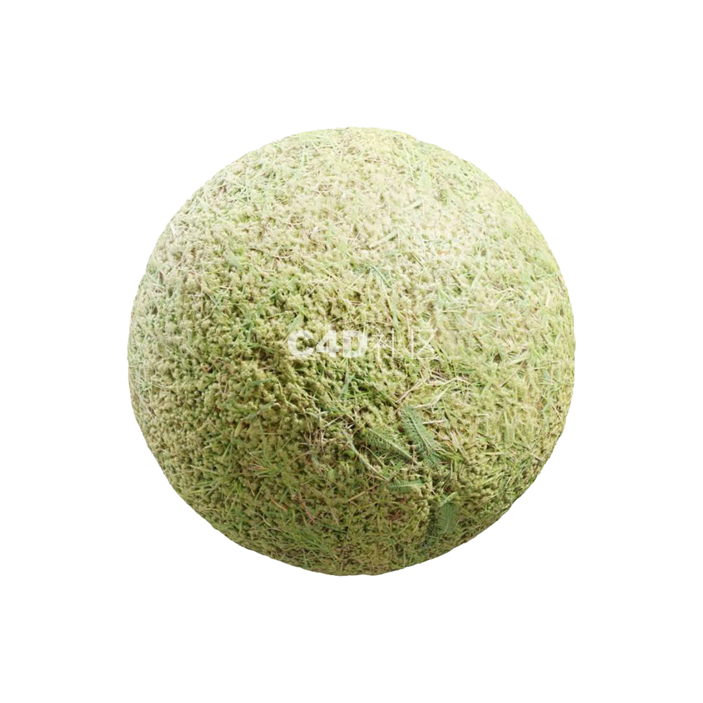 砾石地面 25050809