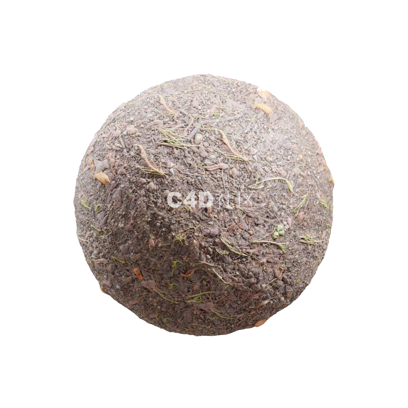 植物草根地面25050801