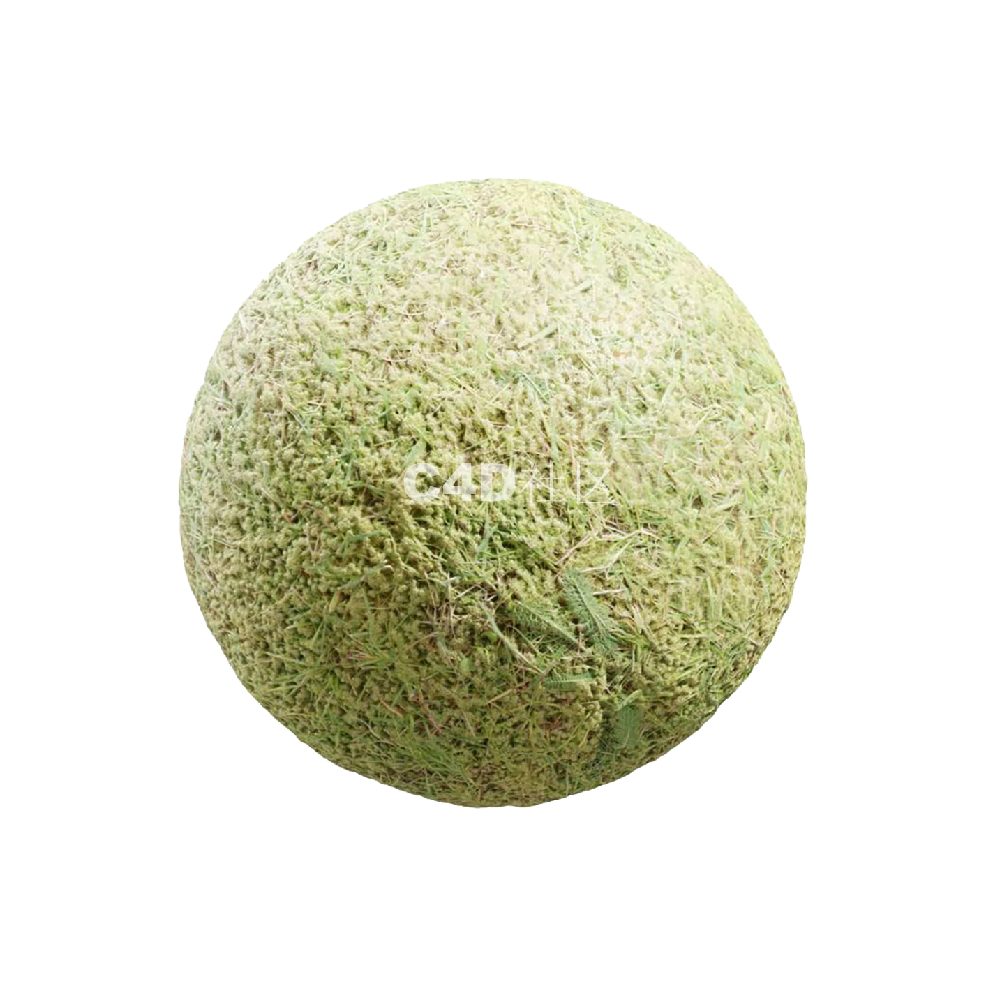 砾石地面 25050809