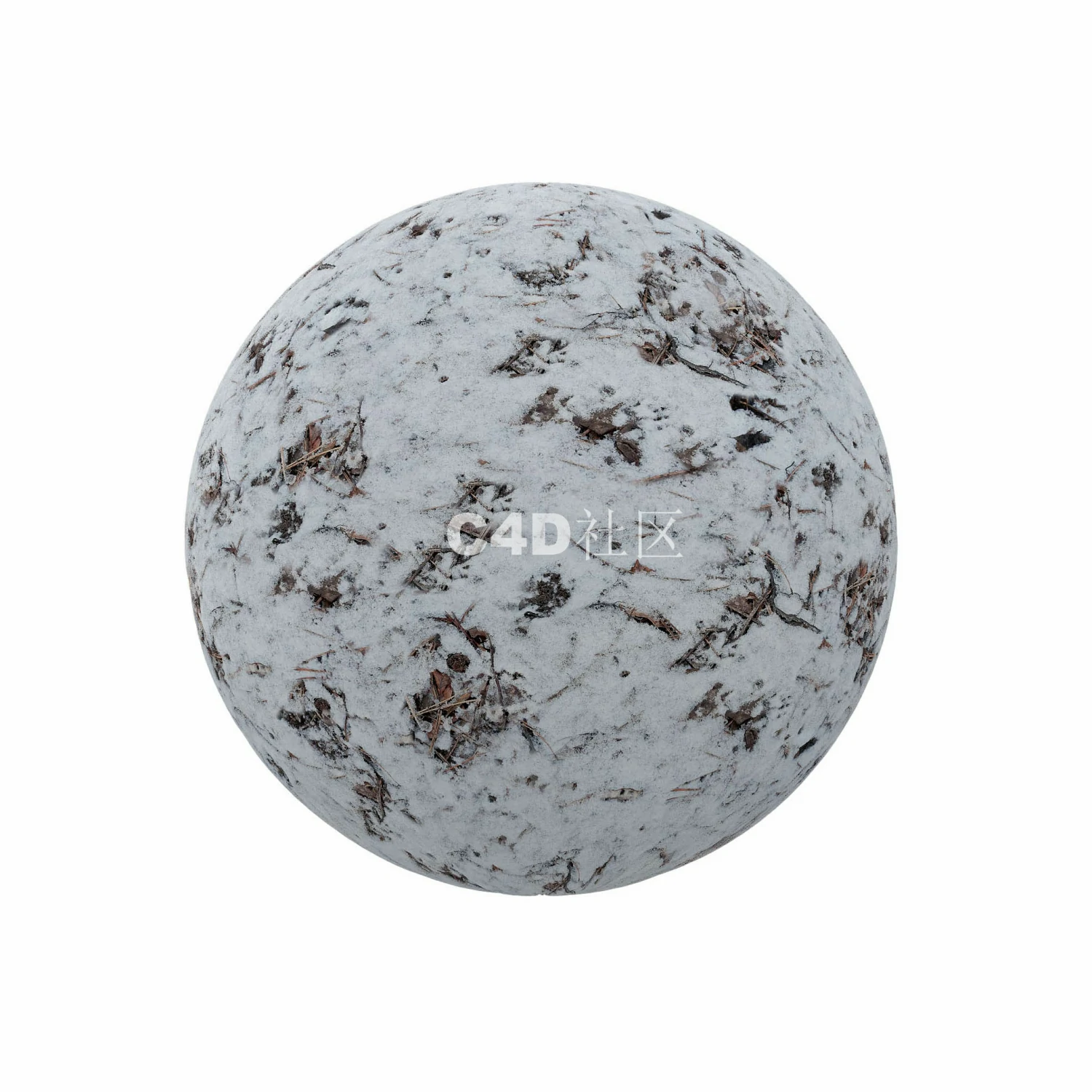 有森林垃圾的雪 250509045