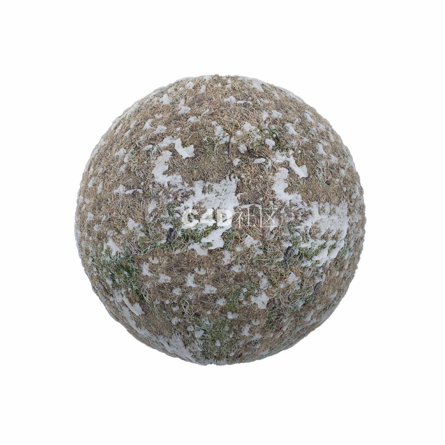 有雪的冰冻草地 250509046