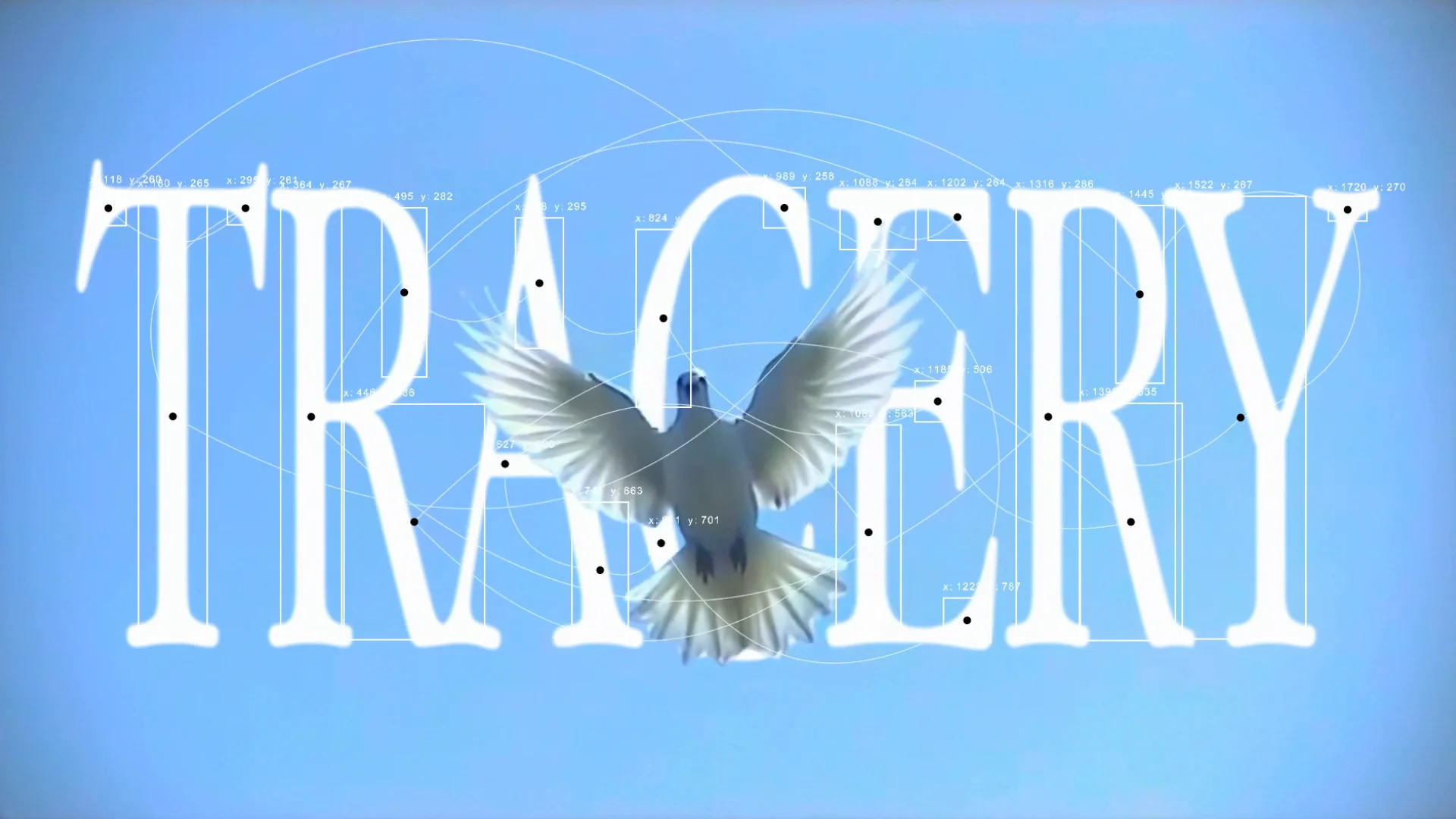 Tracery 1.0 for After Effects 颜色对象自动跟踪对象插件