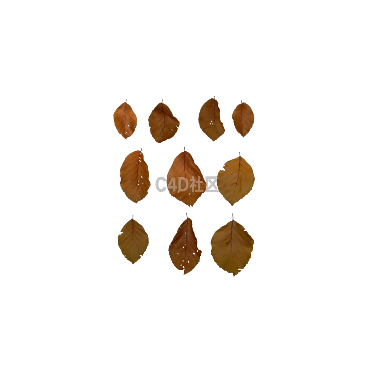 自然干枯棕色 25052403