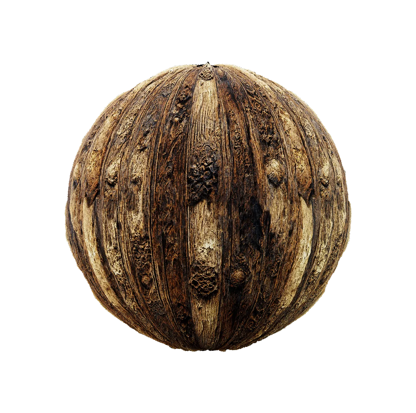 中世纪木材纹理25052872