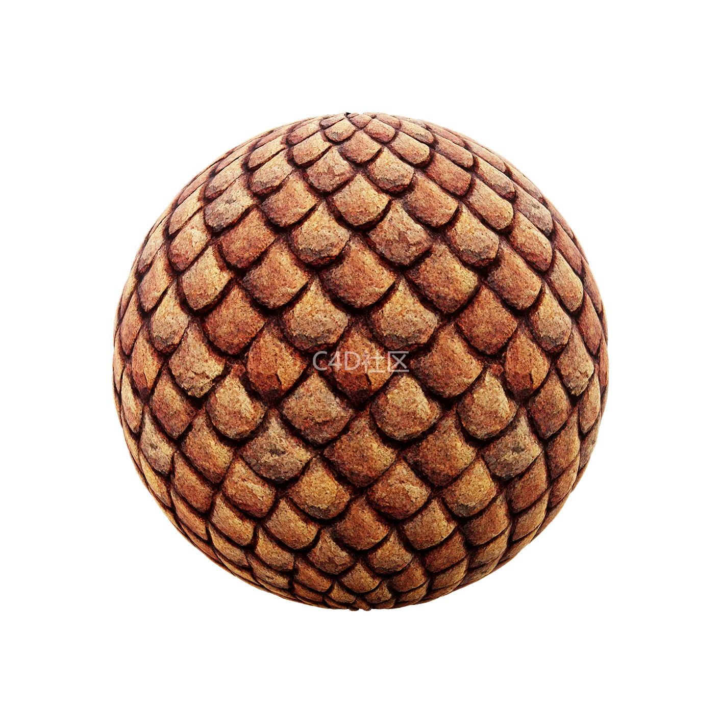 中世纪皮革纹理250528455