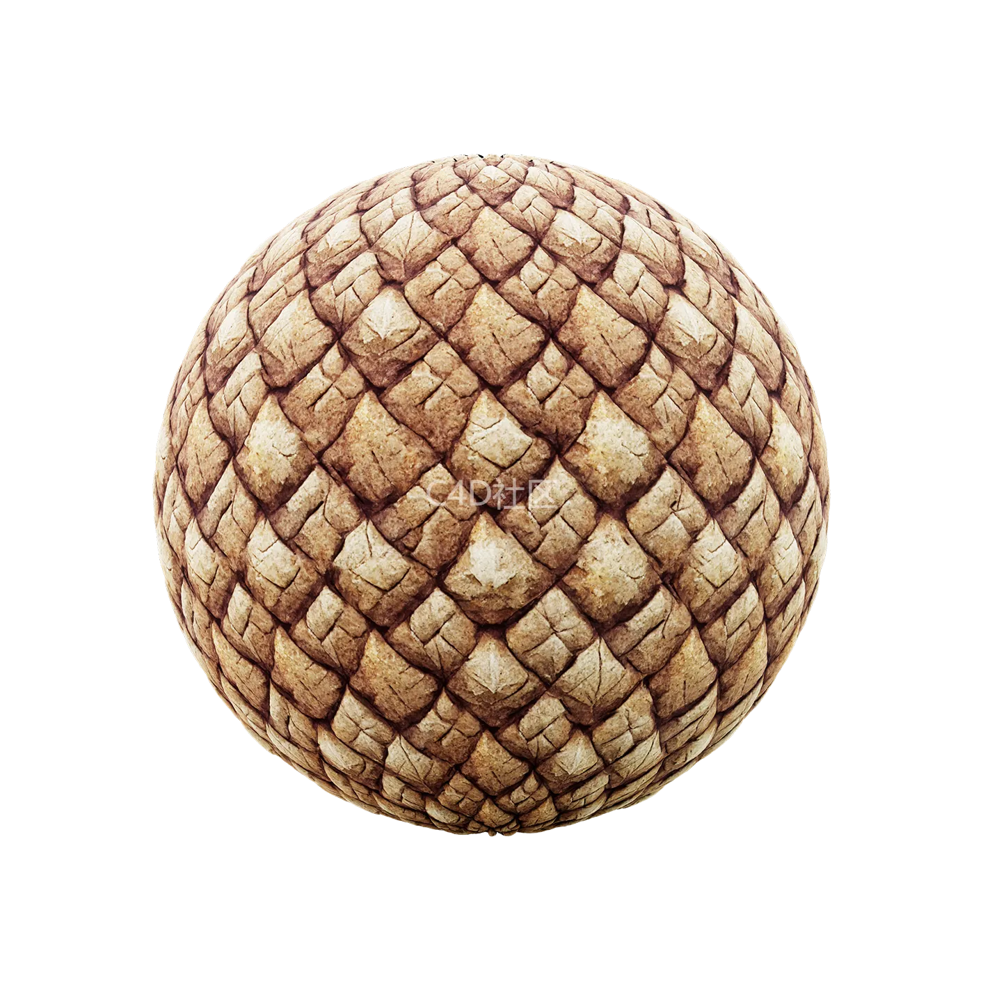 中世纪皮革纹理250528457