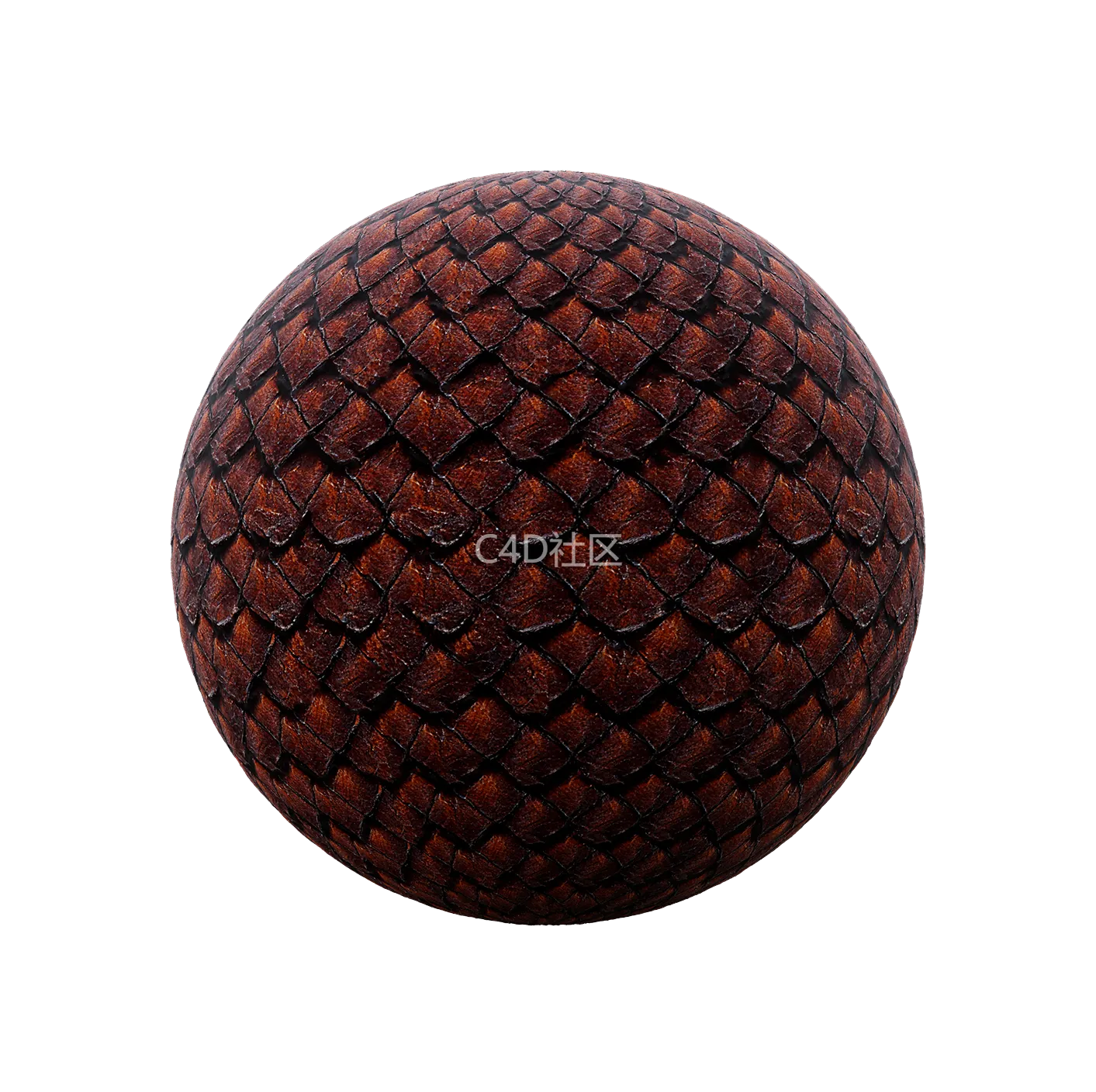 中世纪皮革纹理250528461