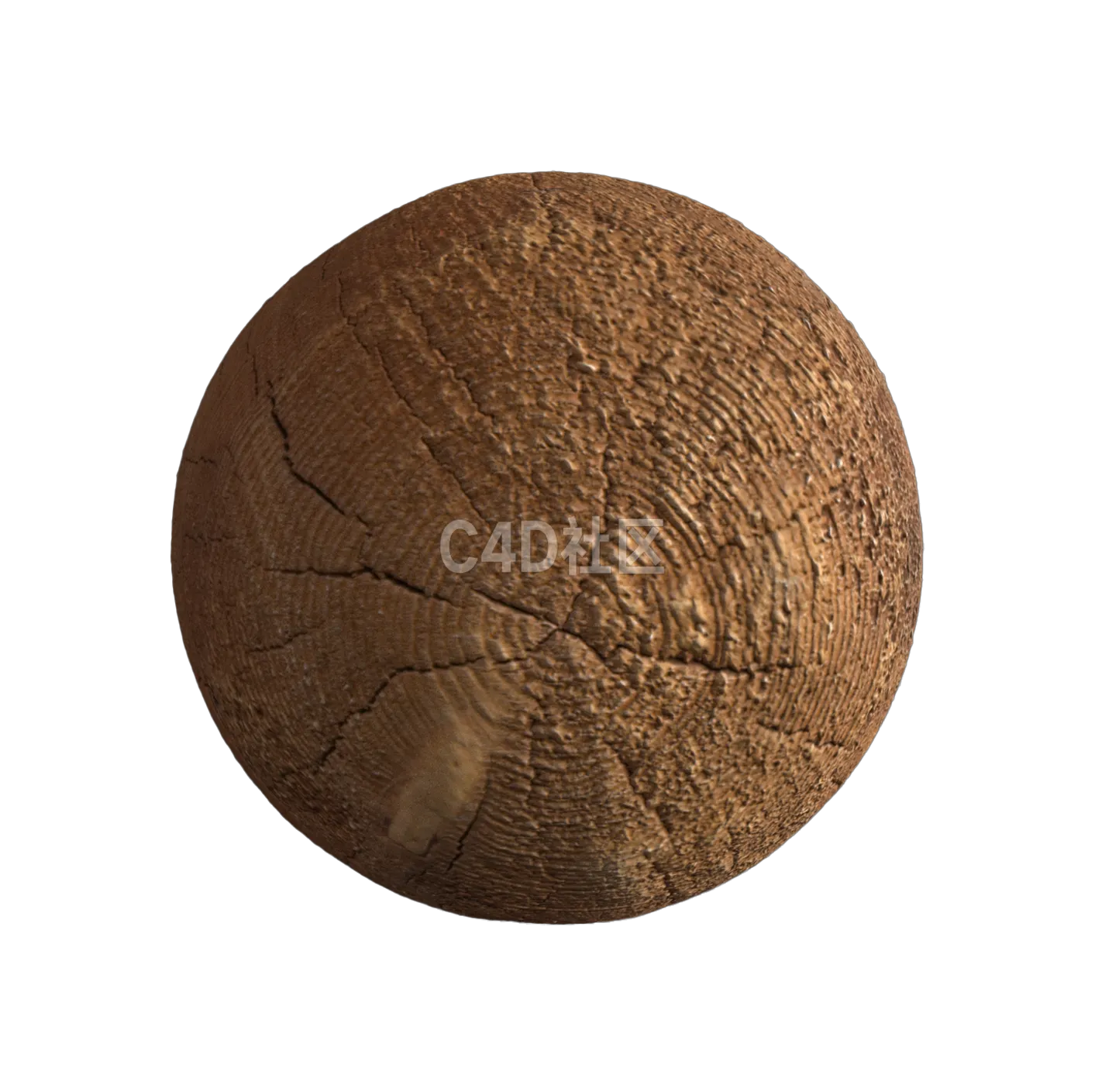 木头截面纹理250528270