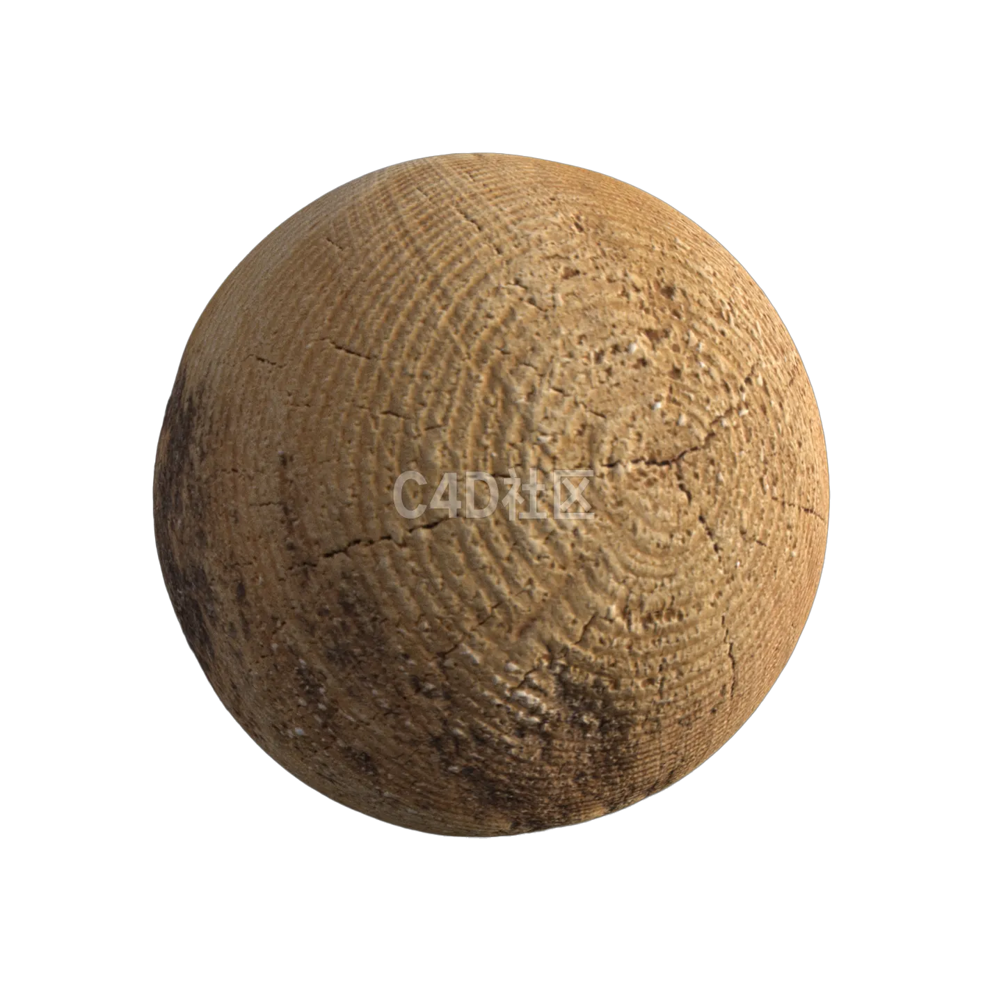 木头截面纹理250528272