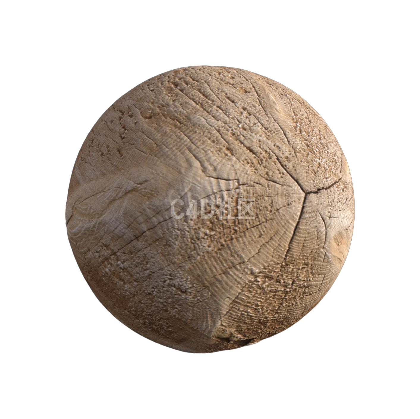 木头截面纹理250528273