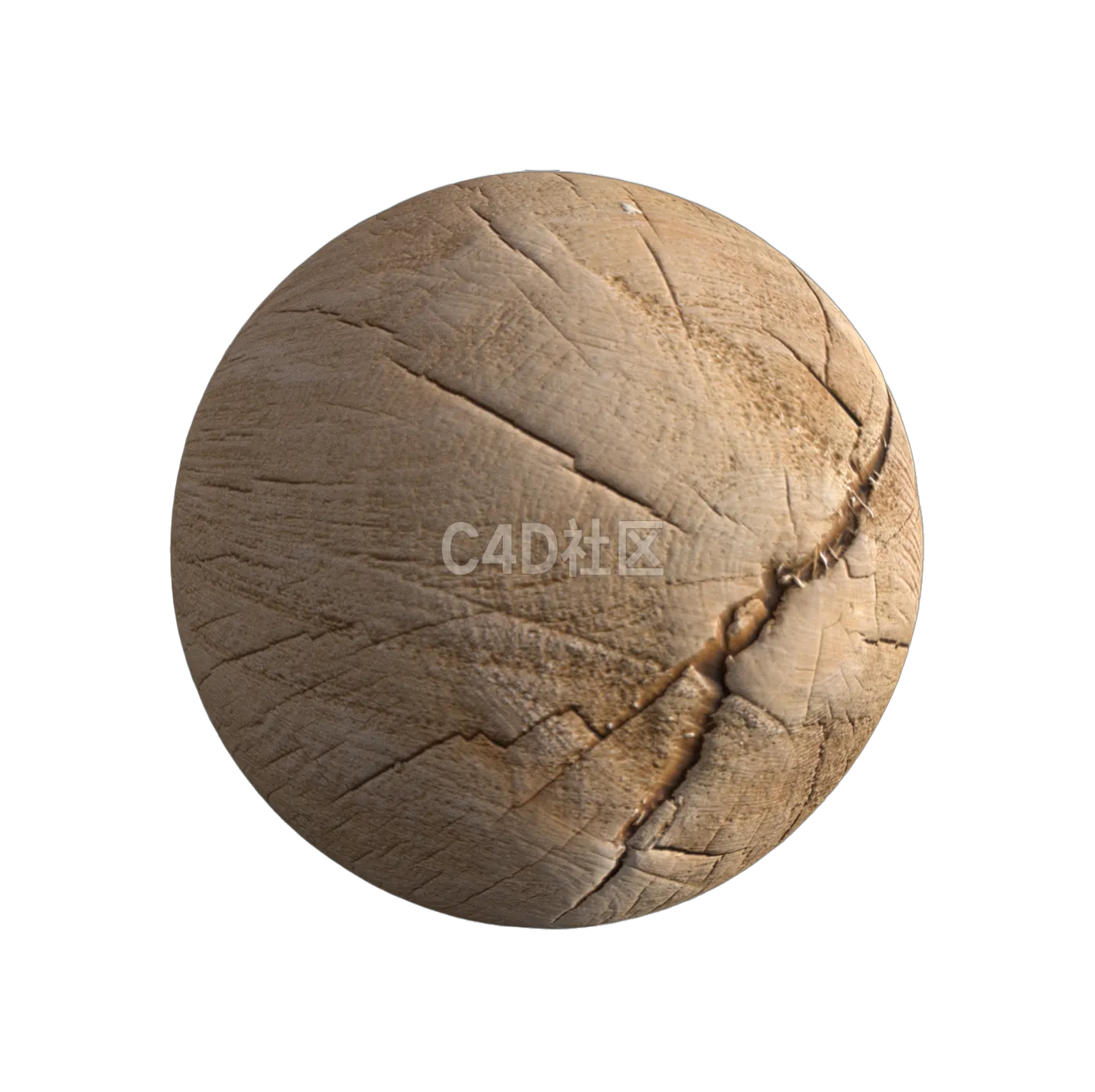 木头截面纹理250528275