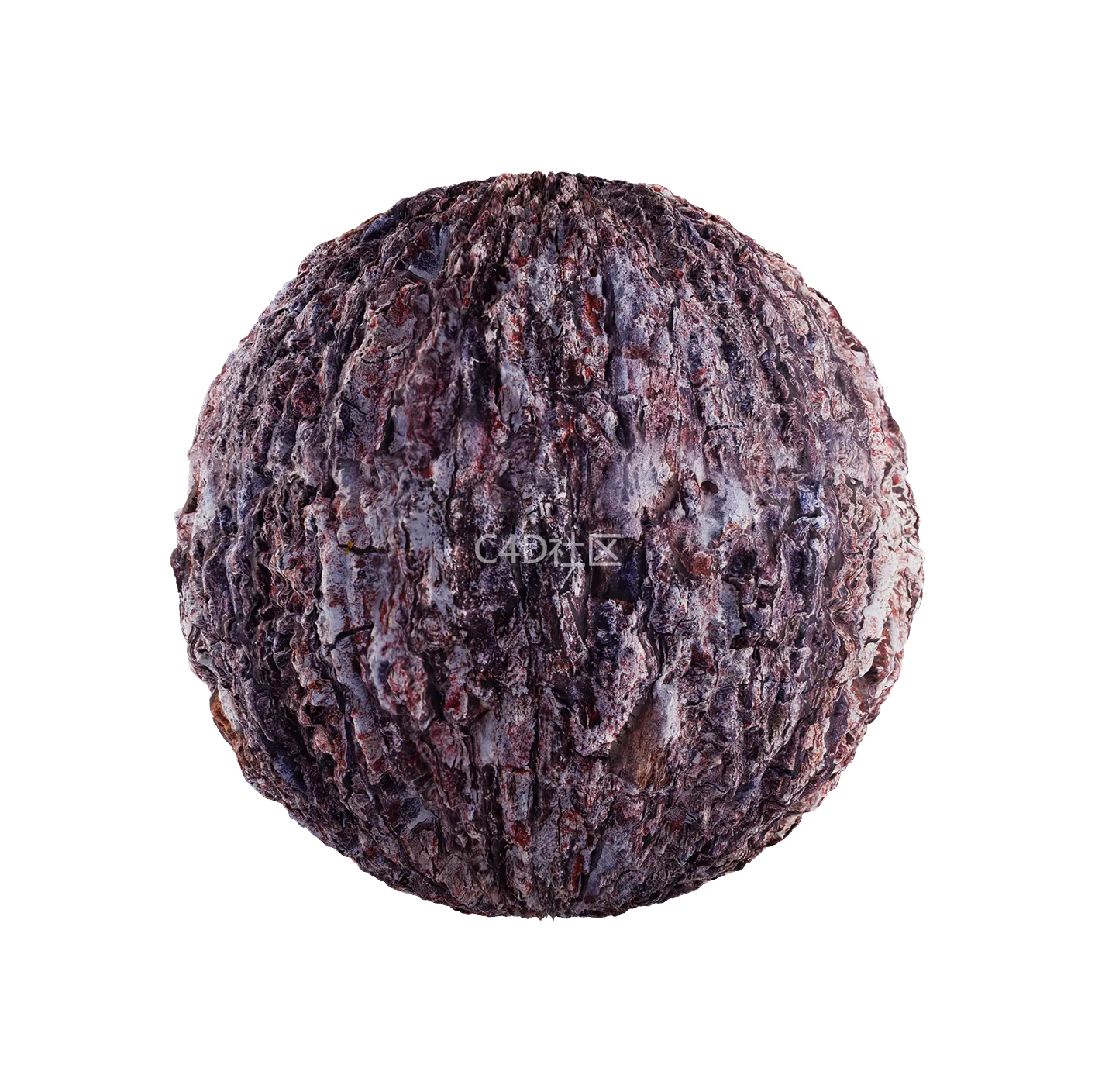 树皮纹理25052801