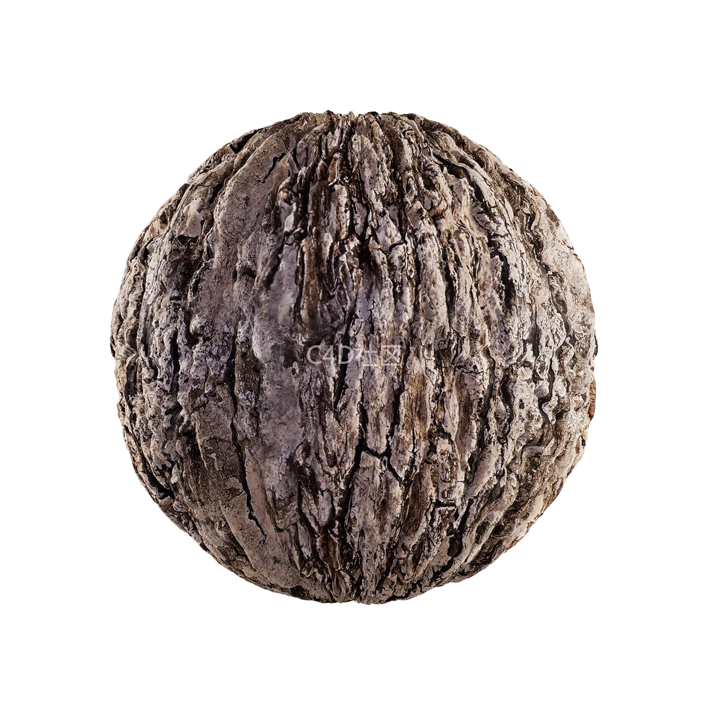 树皮纹理25052802