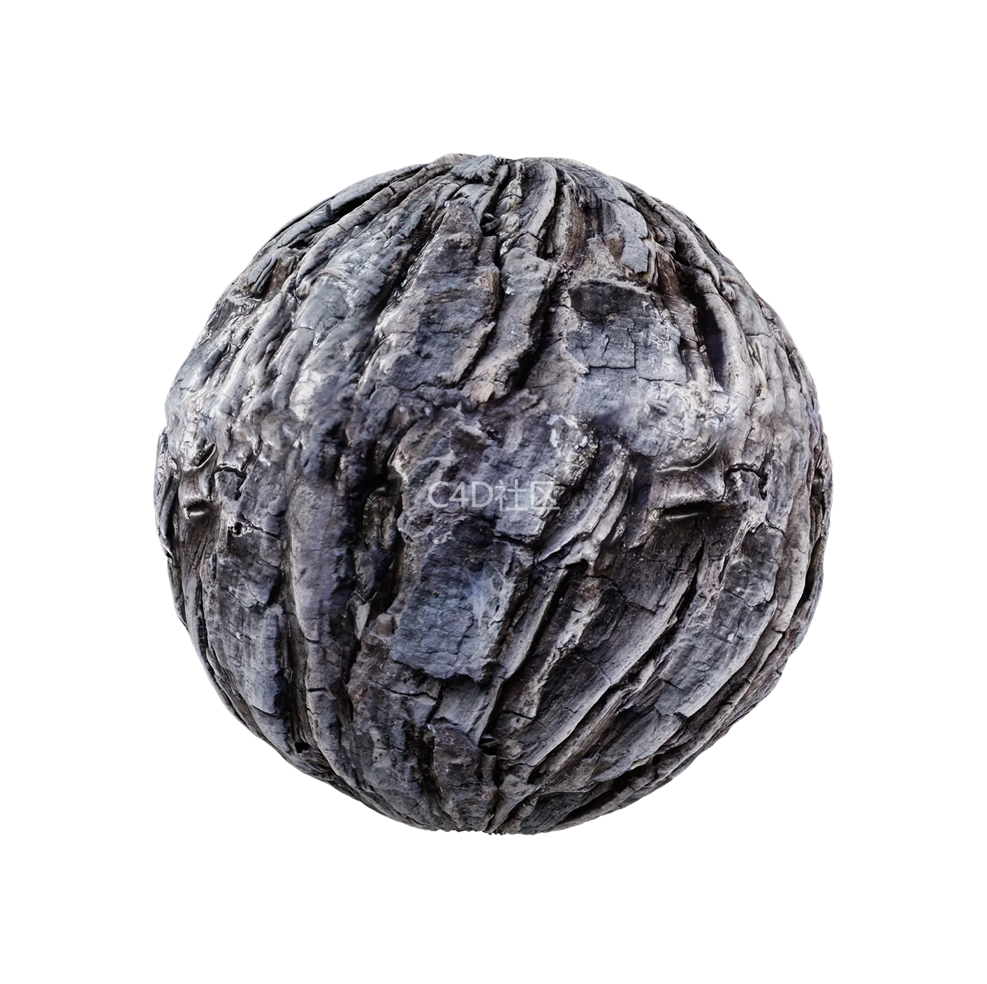 树皮纹理25052805