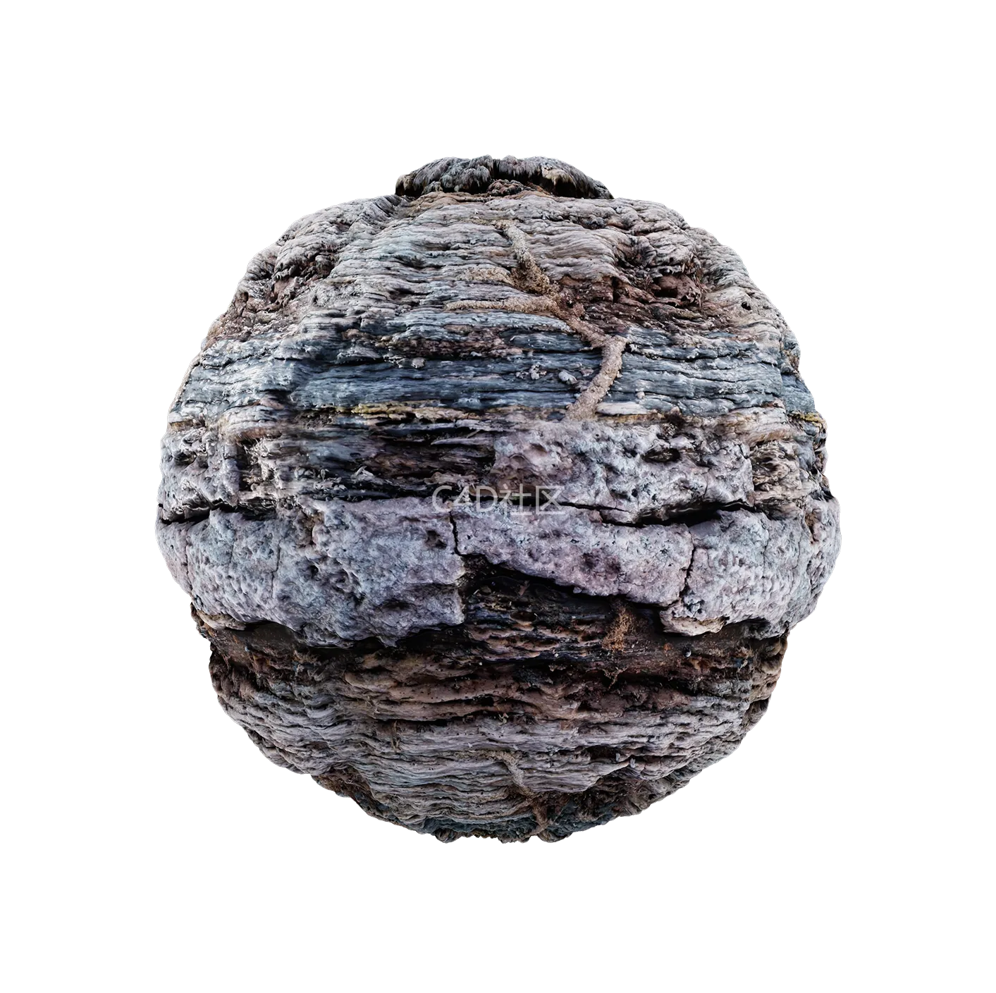 树皮纹理25052806