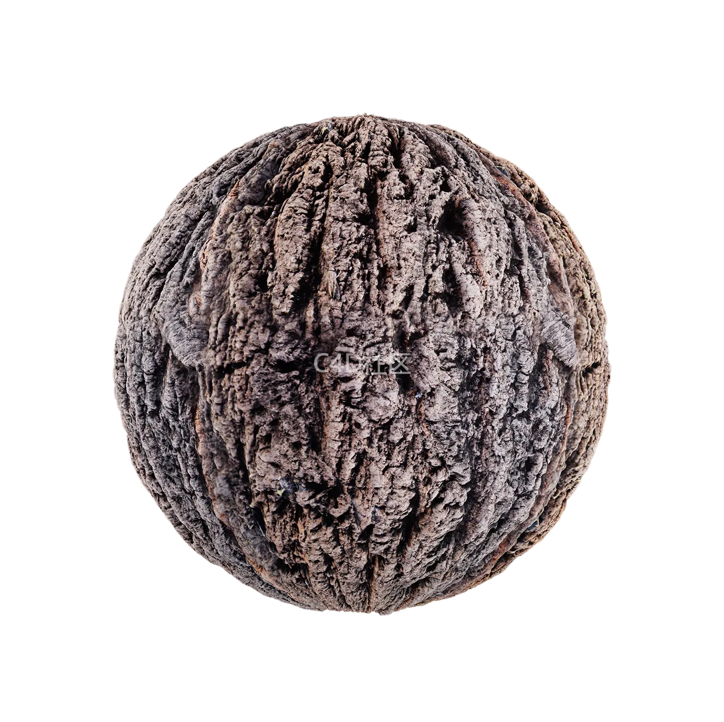 树皮纹理25052811