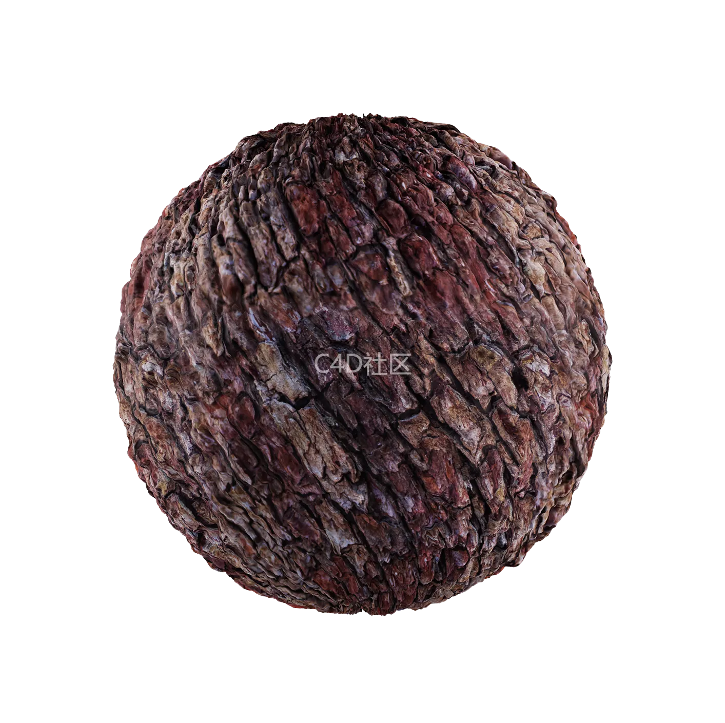 树皮纹理25052812