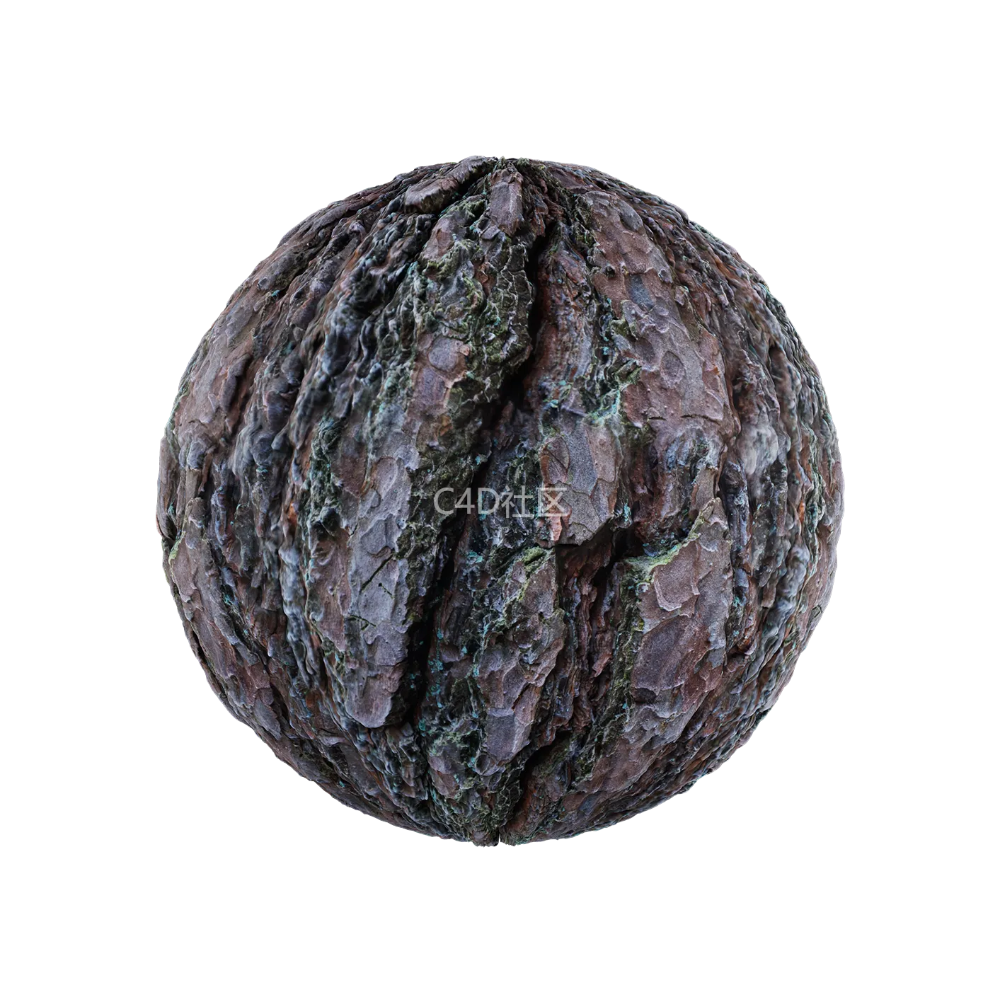 树皮纹理25052813