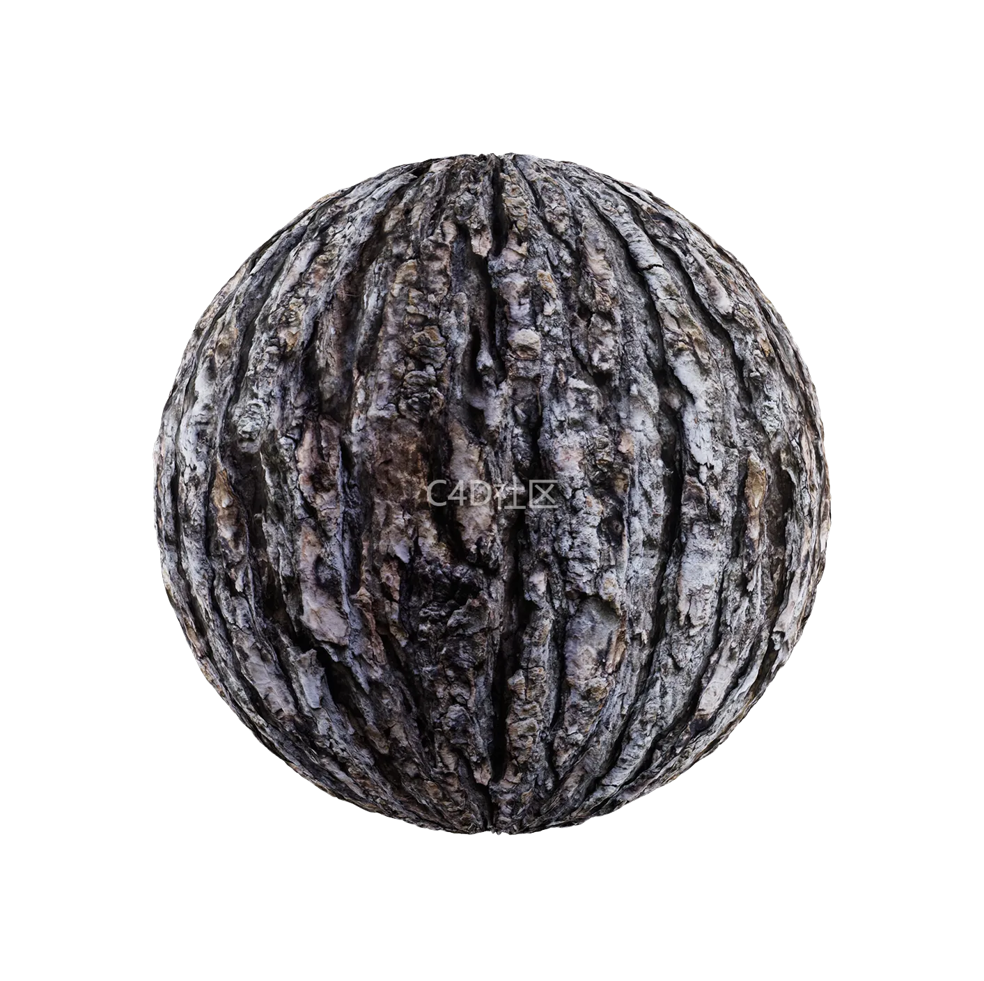 树皮纹理25052820