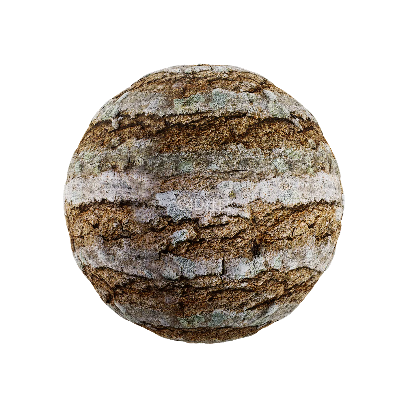 树皮纹理25052821