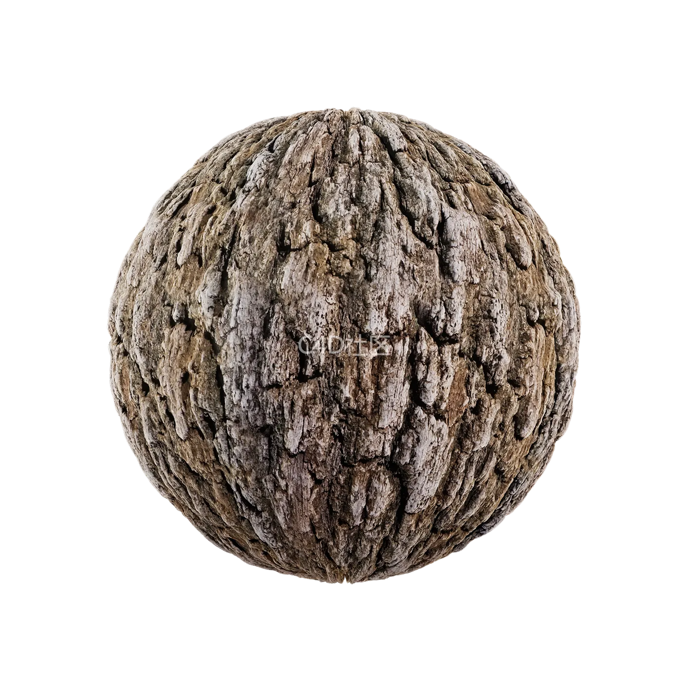 树皮纹理25052822