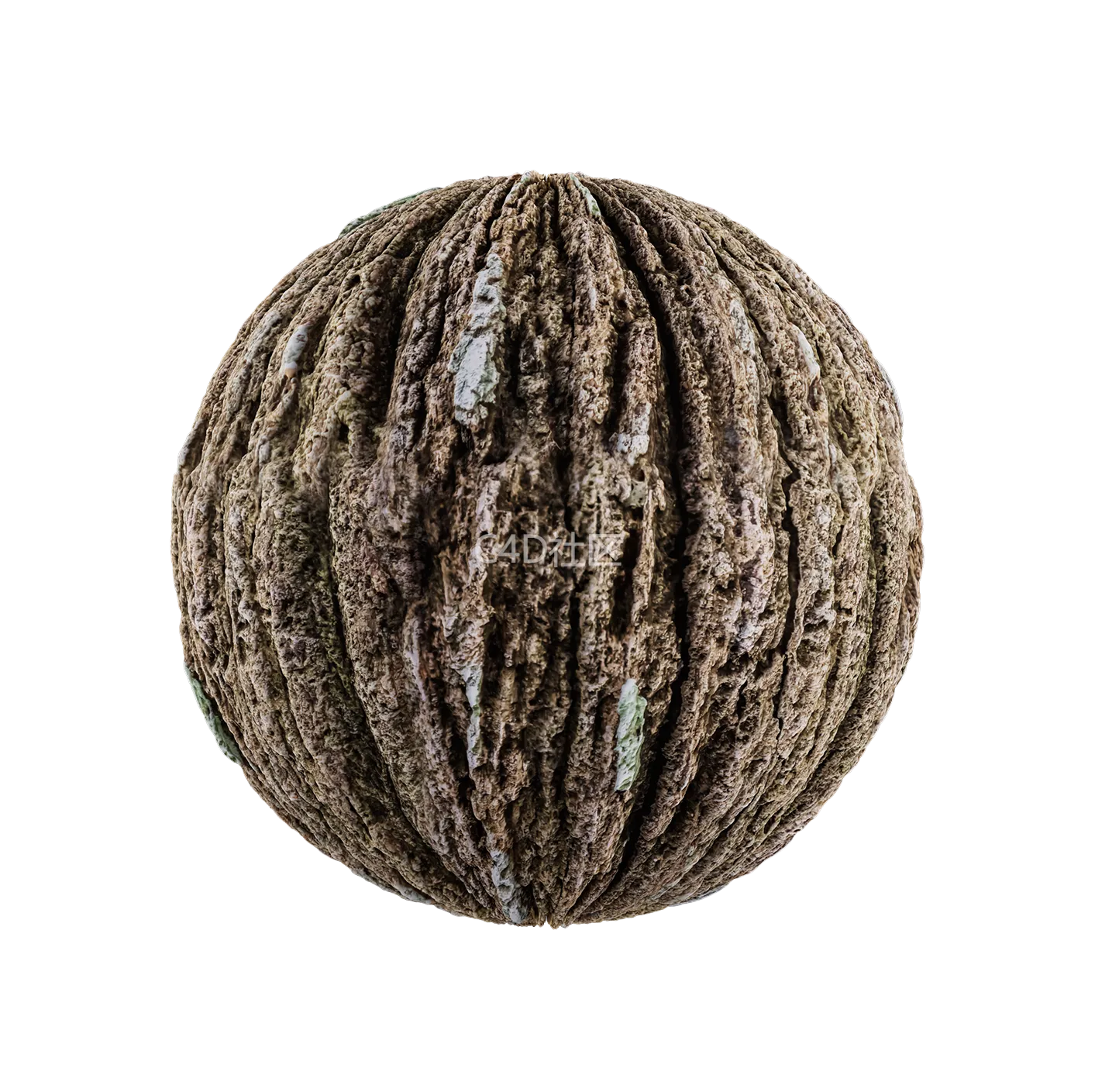 树皮纹理25052823