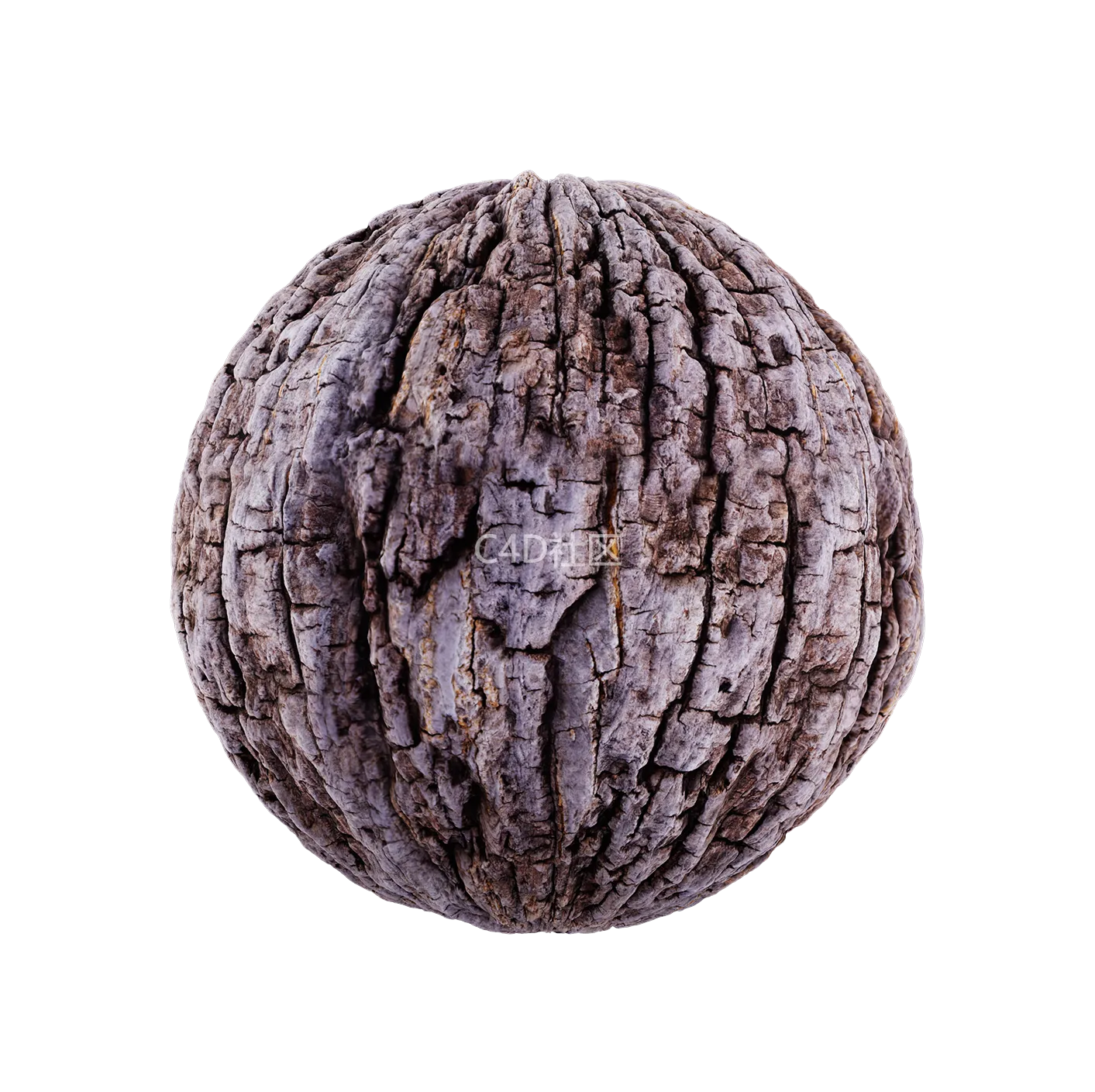 树皮纹理25052825