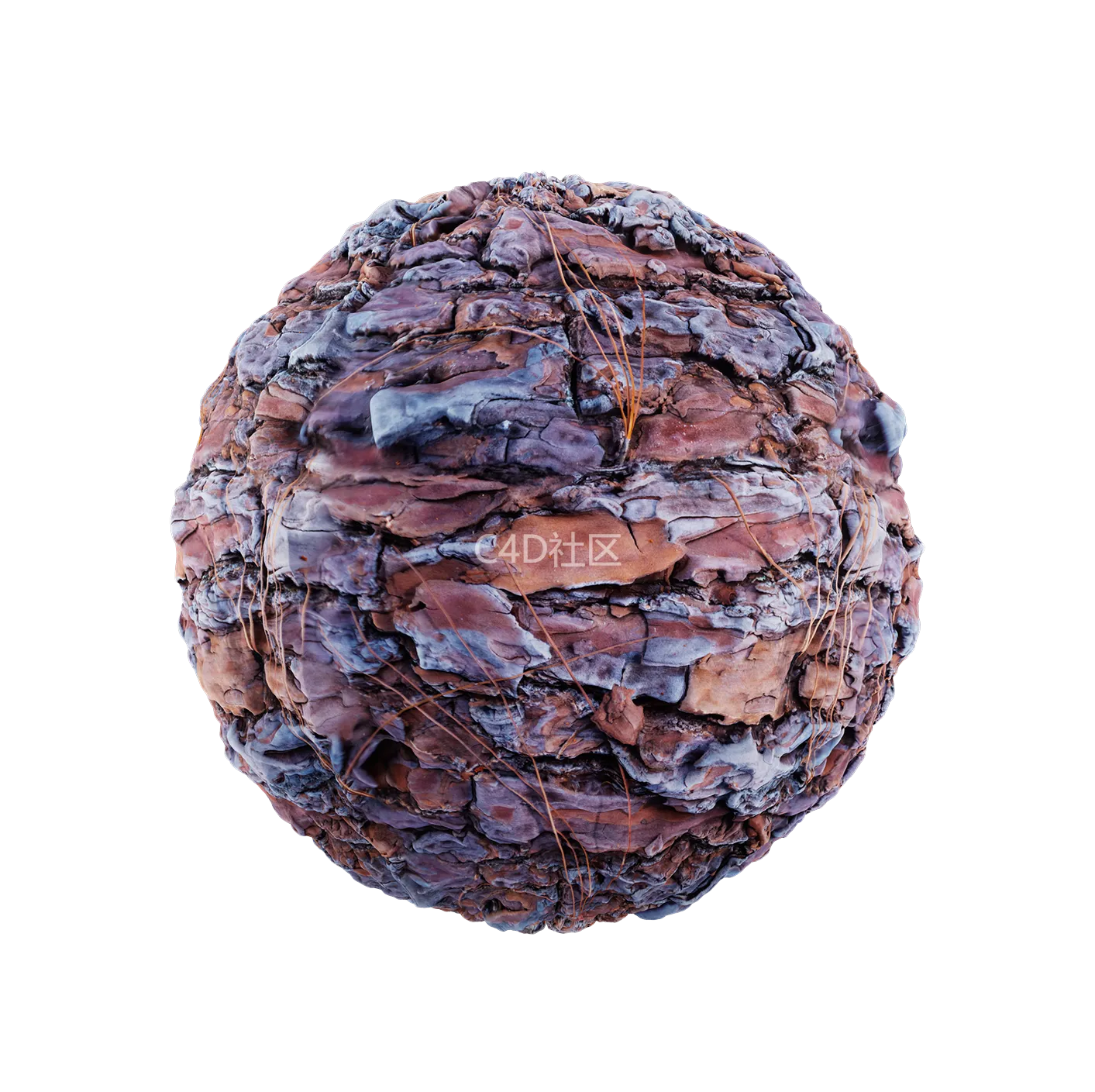 树皮纹理25052827