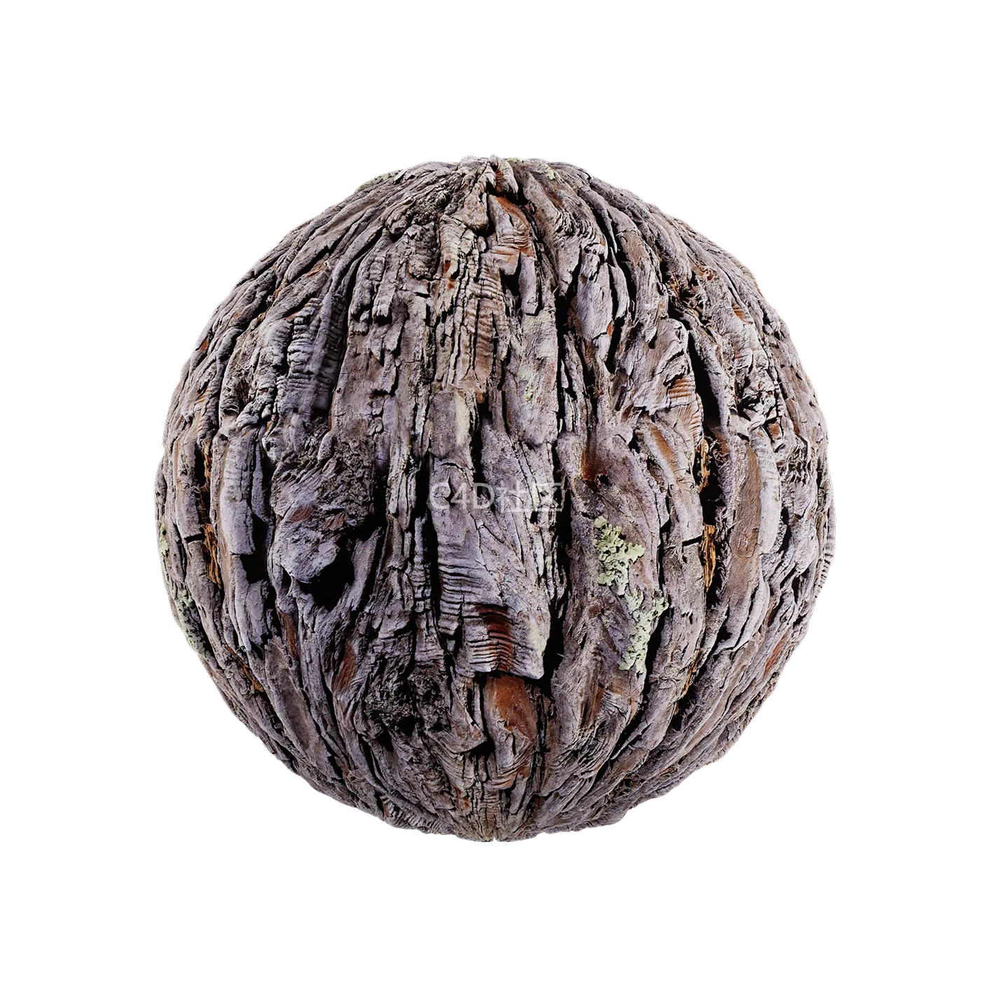 树皮纹理25052829