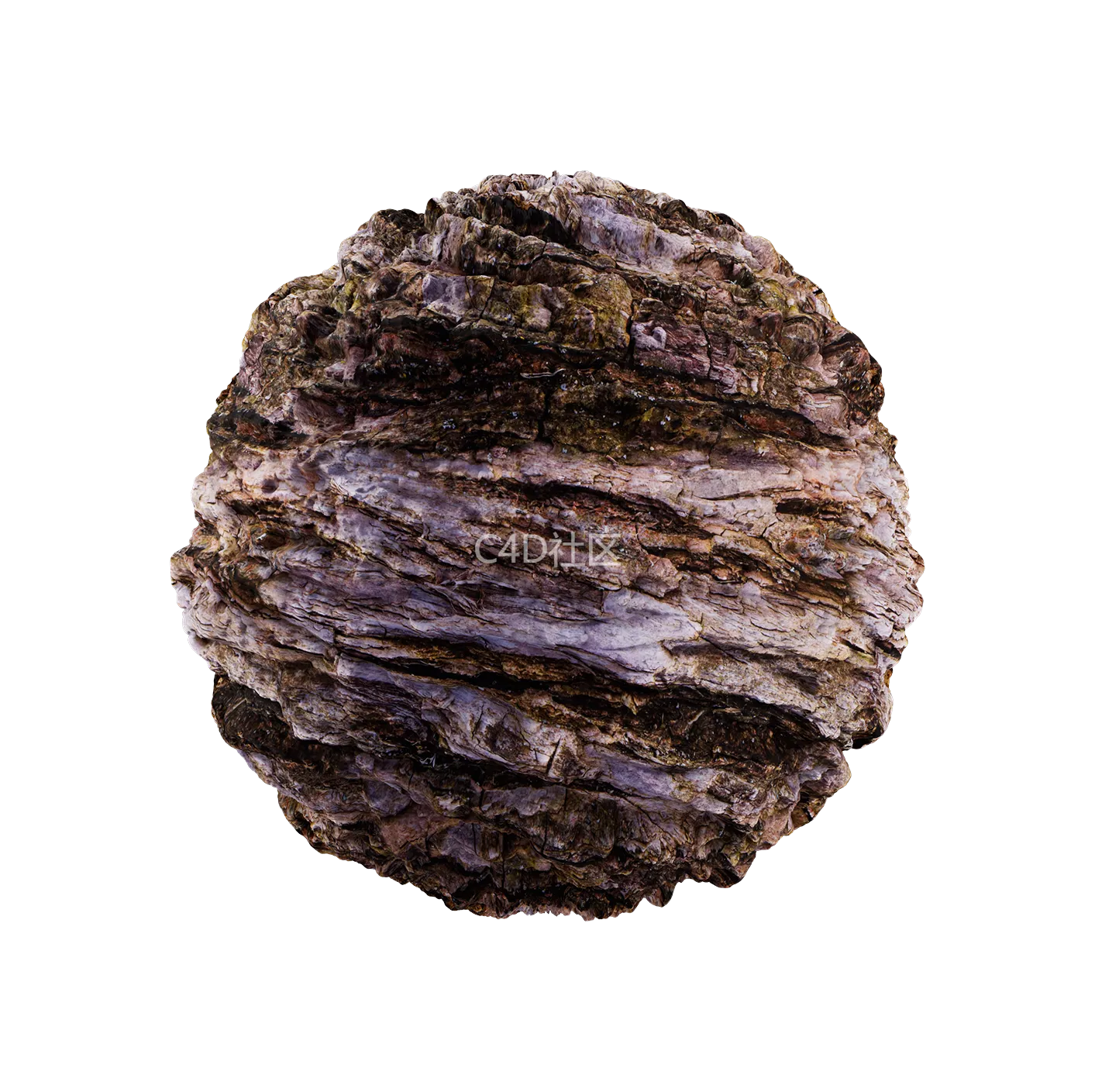 树皮纹理25052830