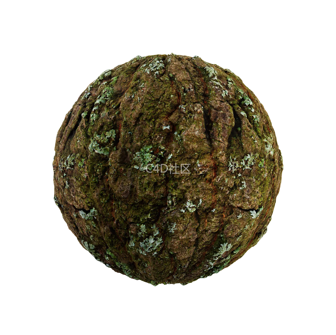 树皮纹理25052831