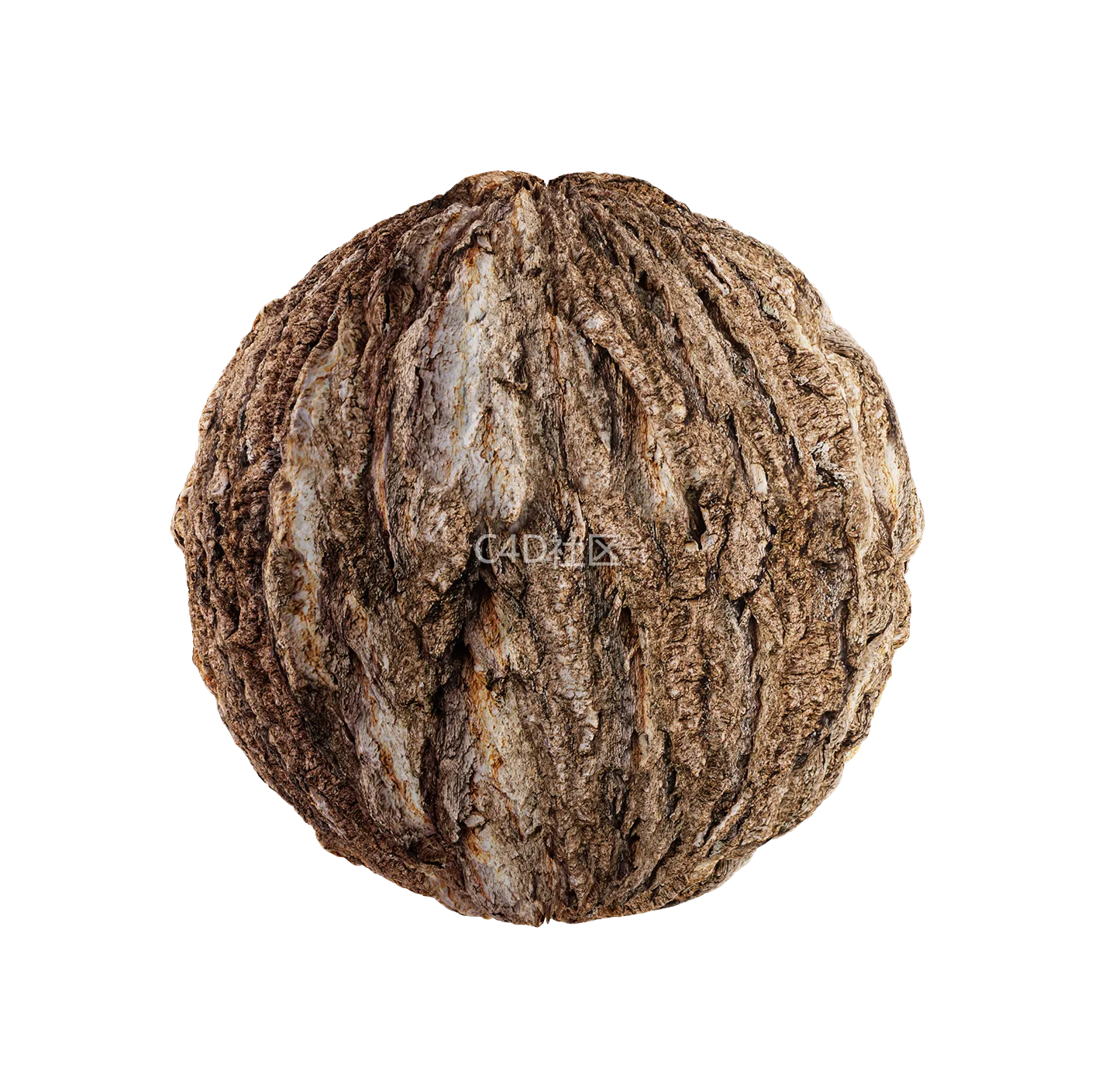 树皮纹理25052834