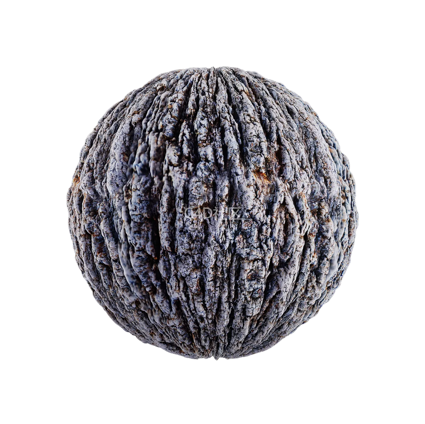 树皮纹理25052836