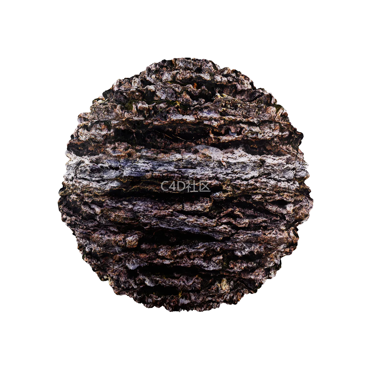 树皮纹理25052837