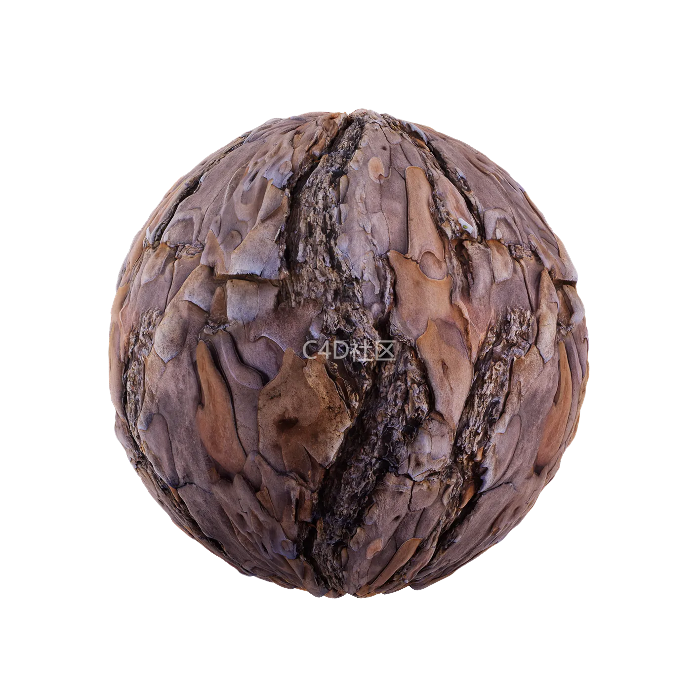 树皮纹理25052838