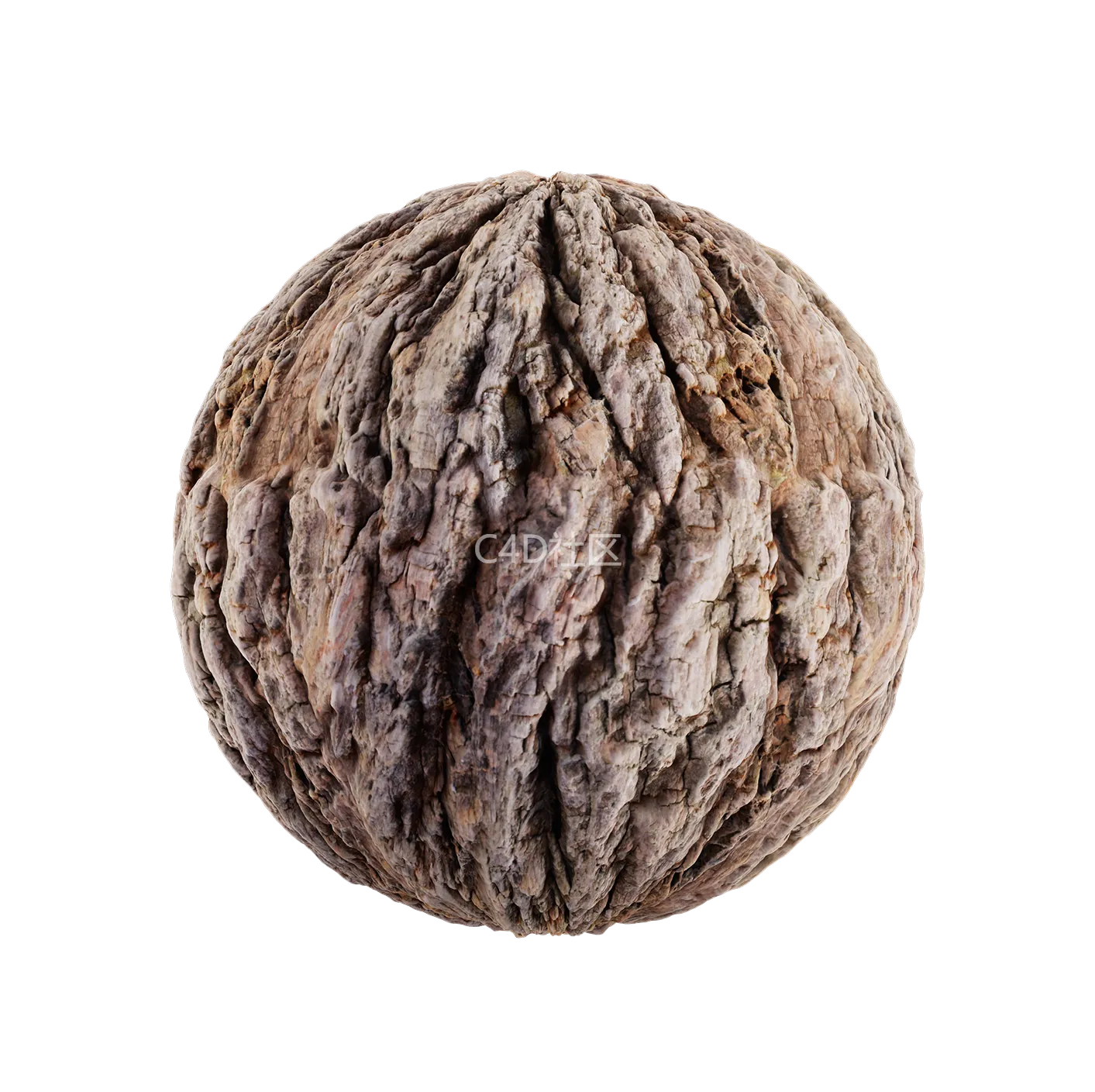 树皮纹理25052839