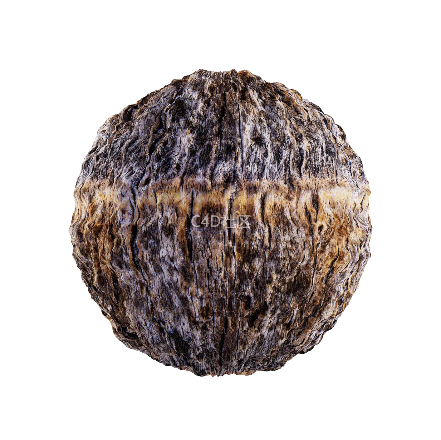 树皮纹理25052840