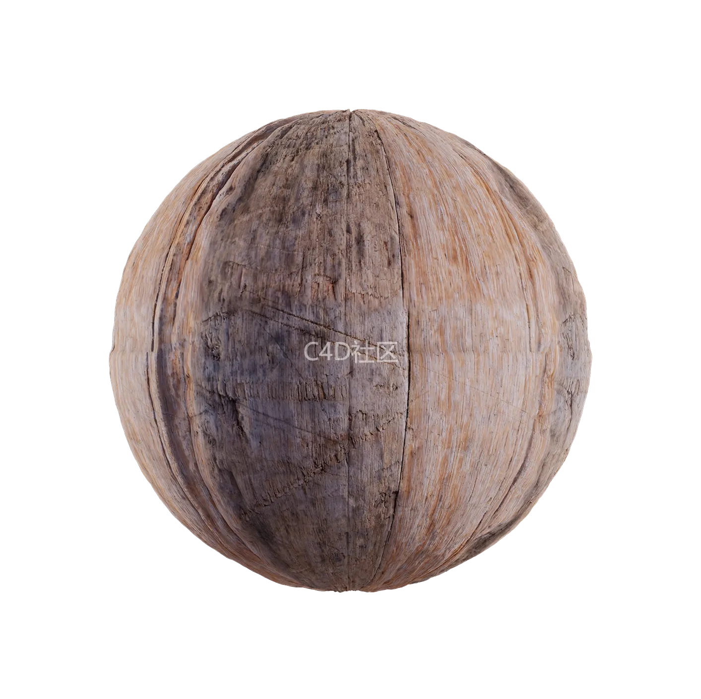 树皮纹理25052841